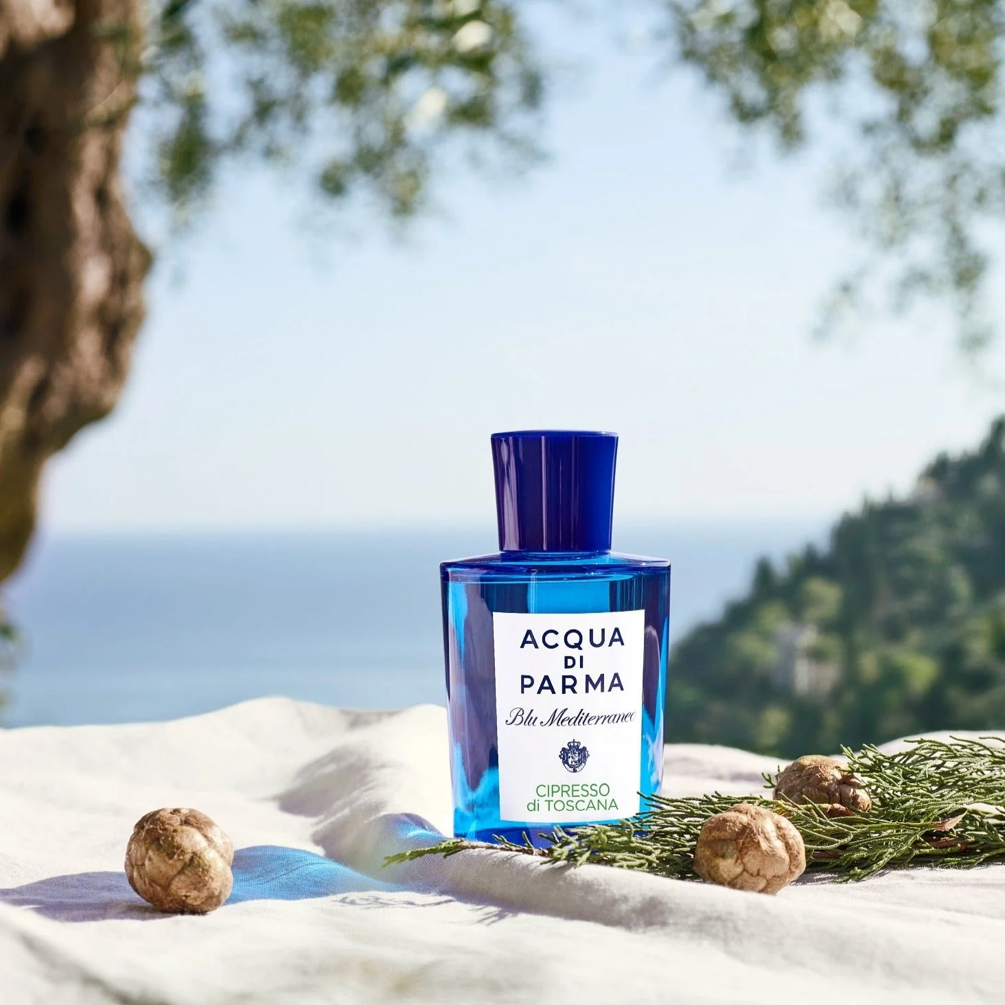 Acqua Di Parma Blu Mediterraneo Cipresso Di Toscana EDT - Image 3