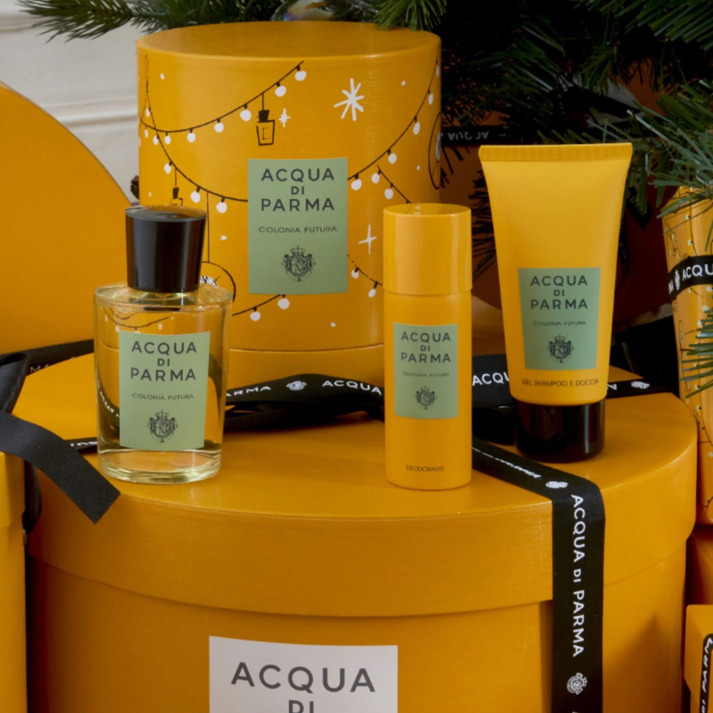 Acqua Di Parma Colonia Futura Deodorant Spray - Image 4