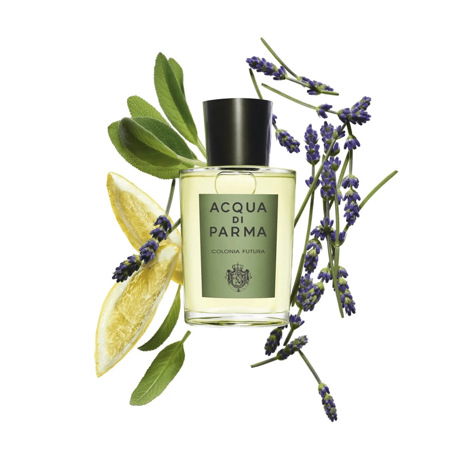 Acqua Di Parma Colonia Futura EDC - Image 4