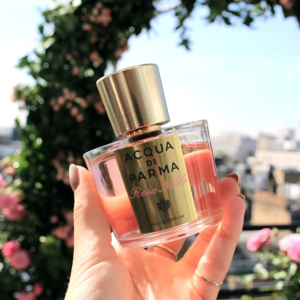 Acqua Di Parma Rosa Nobile EDP - Image 3
