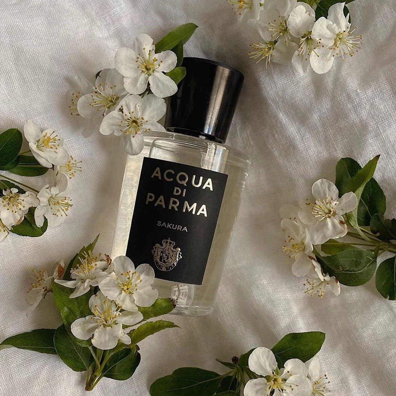Acqua Di Parma Sakura EDP - Image 2
