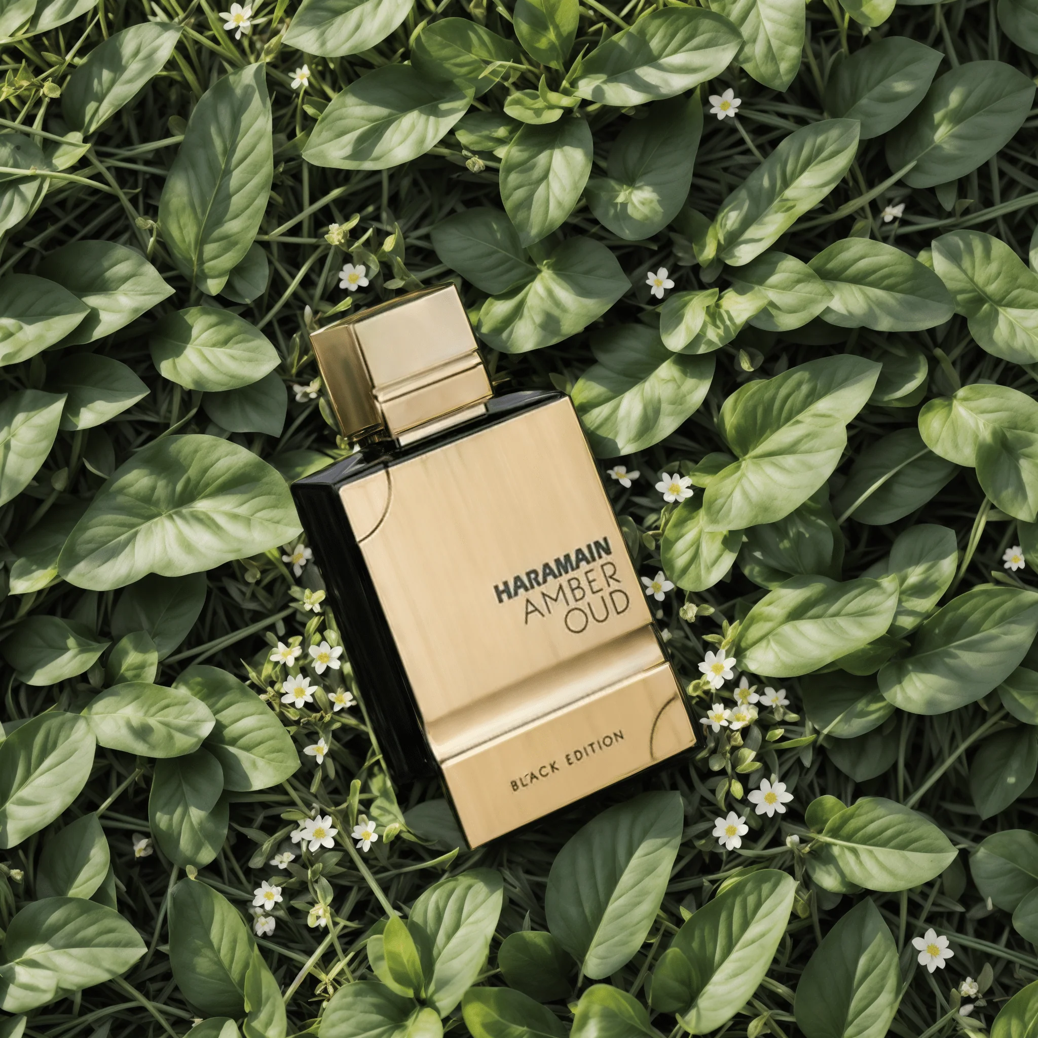 Al Haramain Amber Oud Black Edition EDP - Image 3