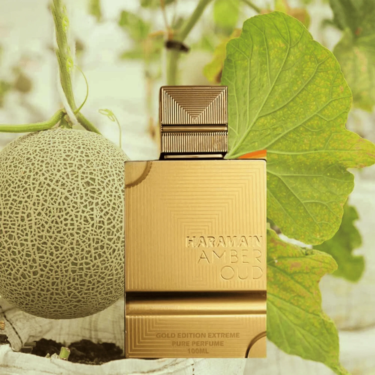 Al Haramain Amber Oud Extreme Gold Edition Extrait De Parfum - Image 3