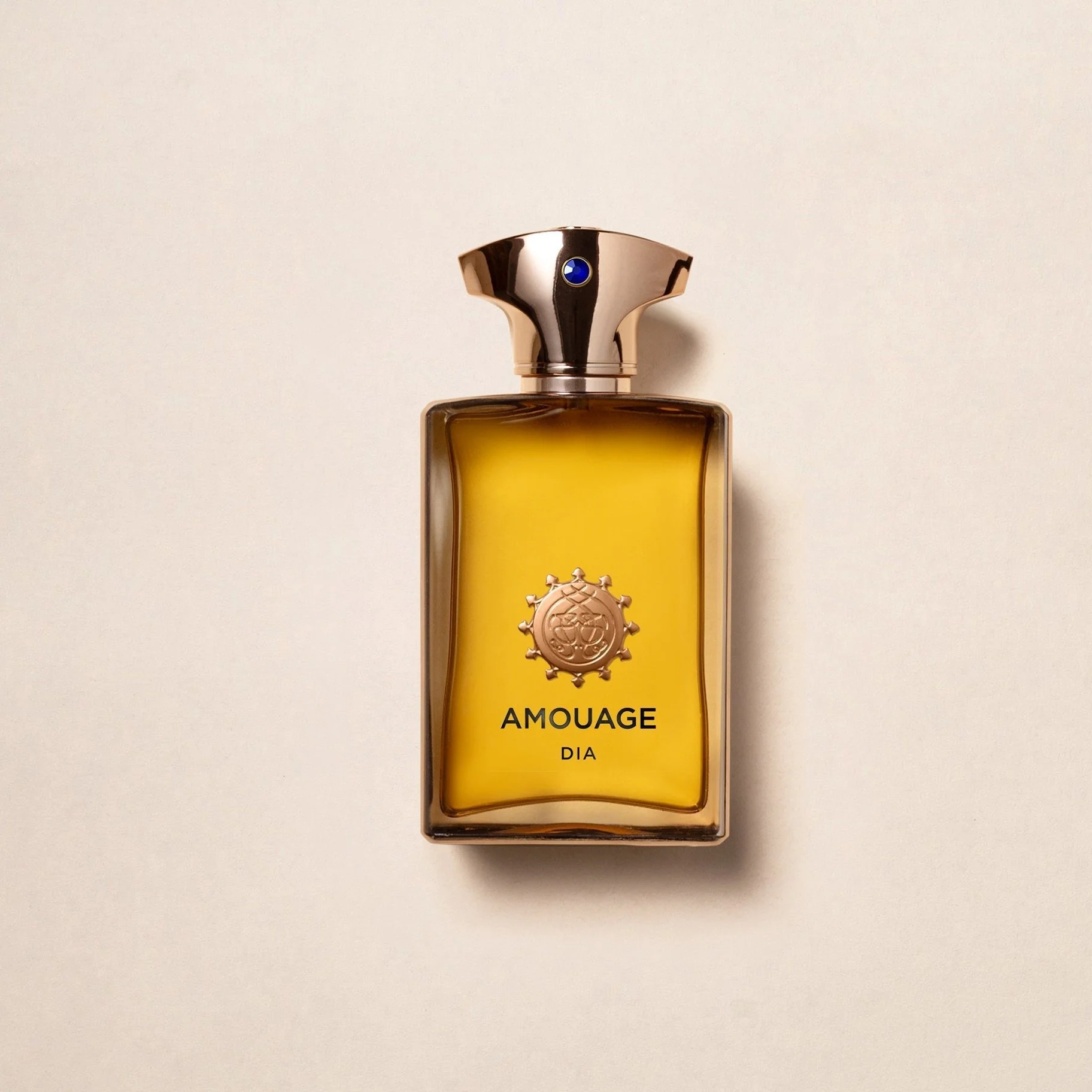 Amouage Dia EDP For Men - Image 3