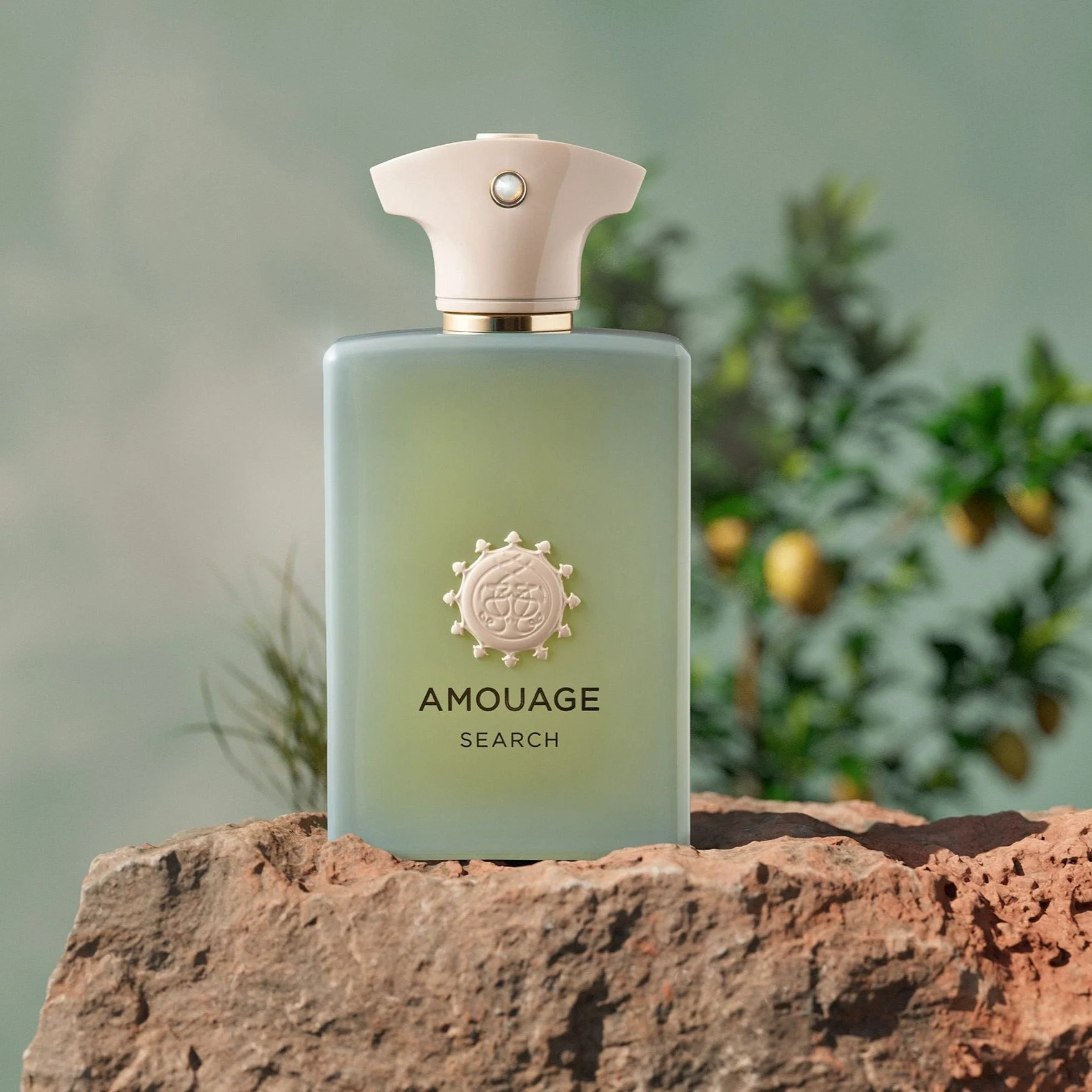 Amouage Search EDP - Image 3