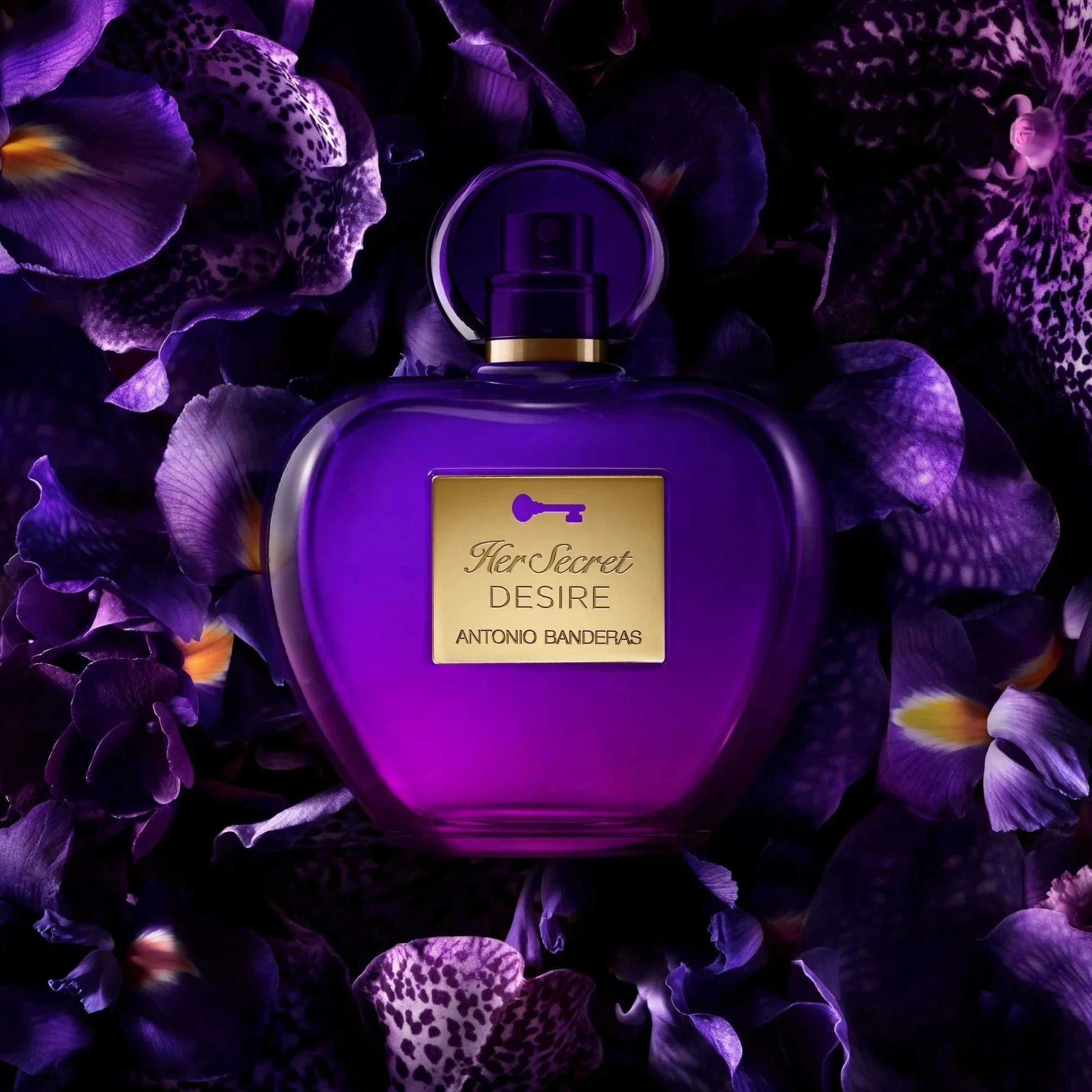 Antonio Banderas Seduction Doses Her Secret Desire EDT - Image 2