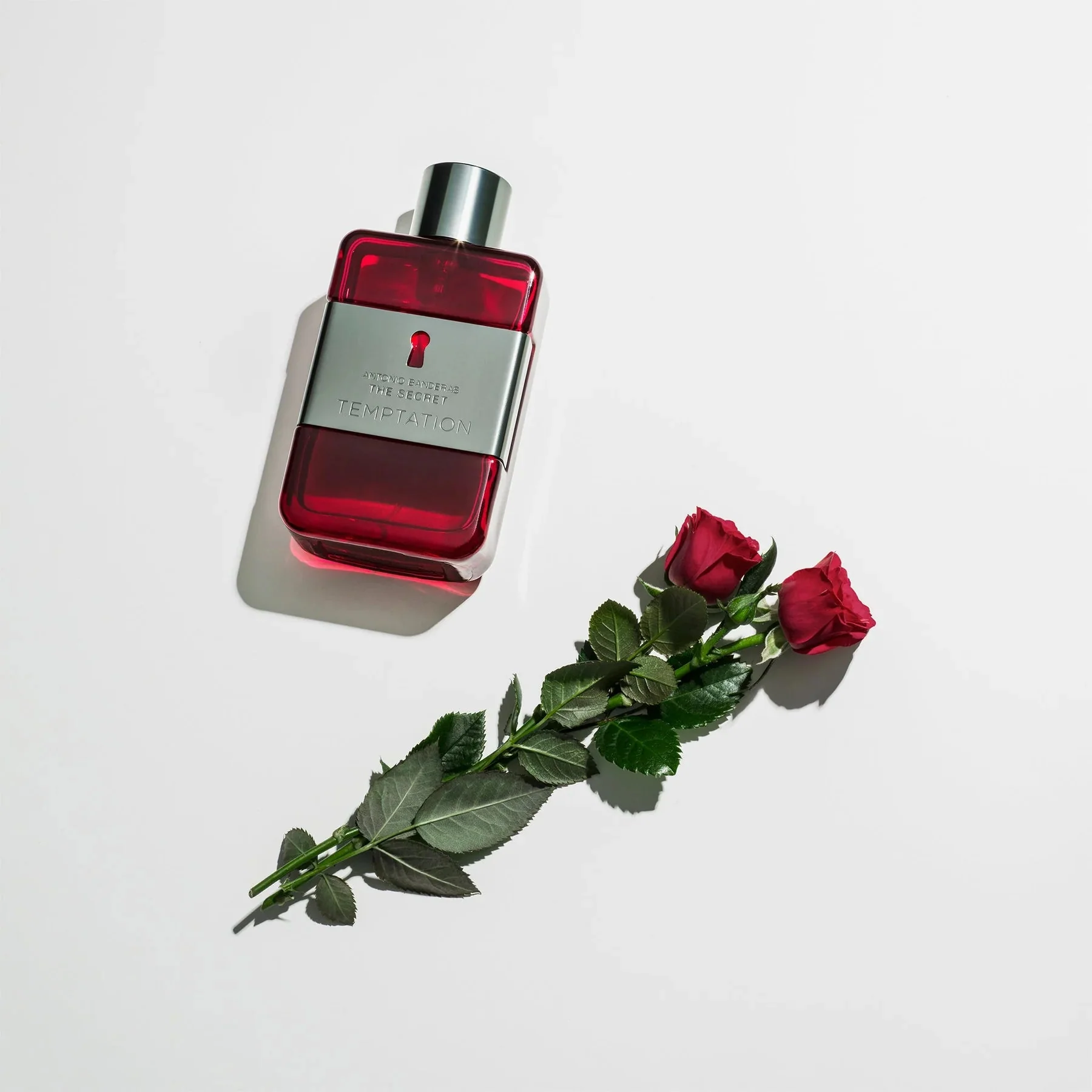 Antonio Banderas The Secret Temptation EDT - Image 4