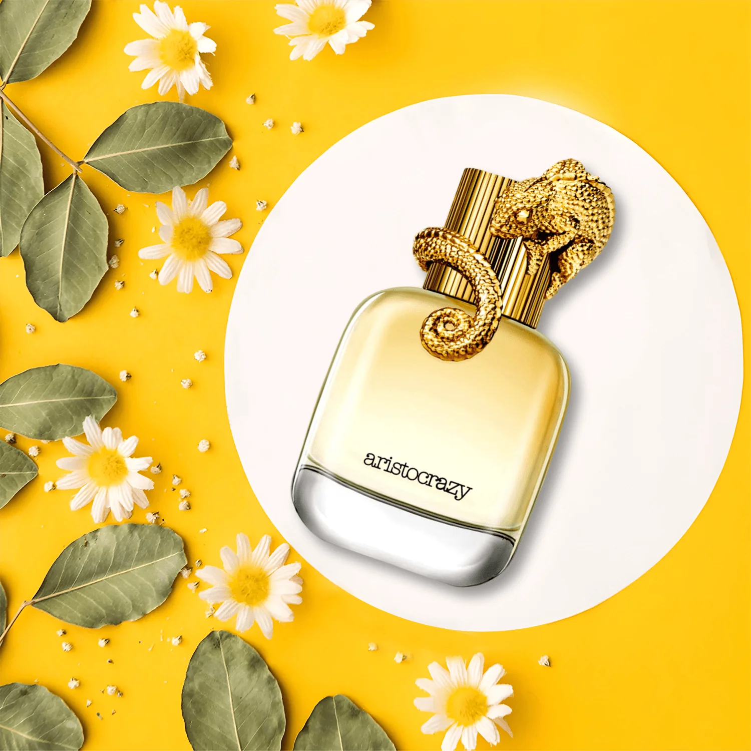 Aristocrazy Intuitive EDT Body Lotion & Travel Gift Set for Women - Image 2