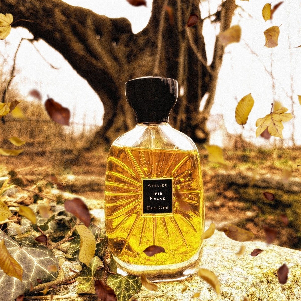 Atelier Des Ors Lune Feline EDP - Image 4