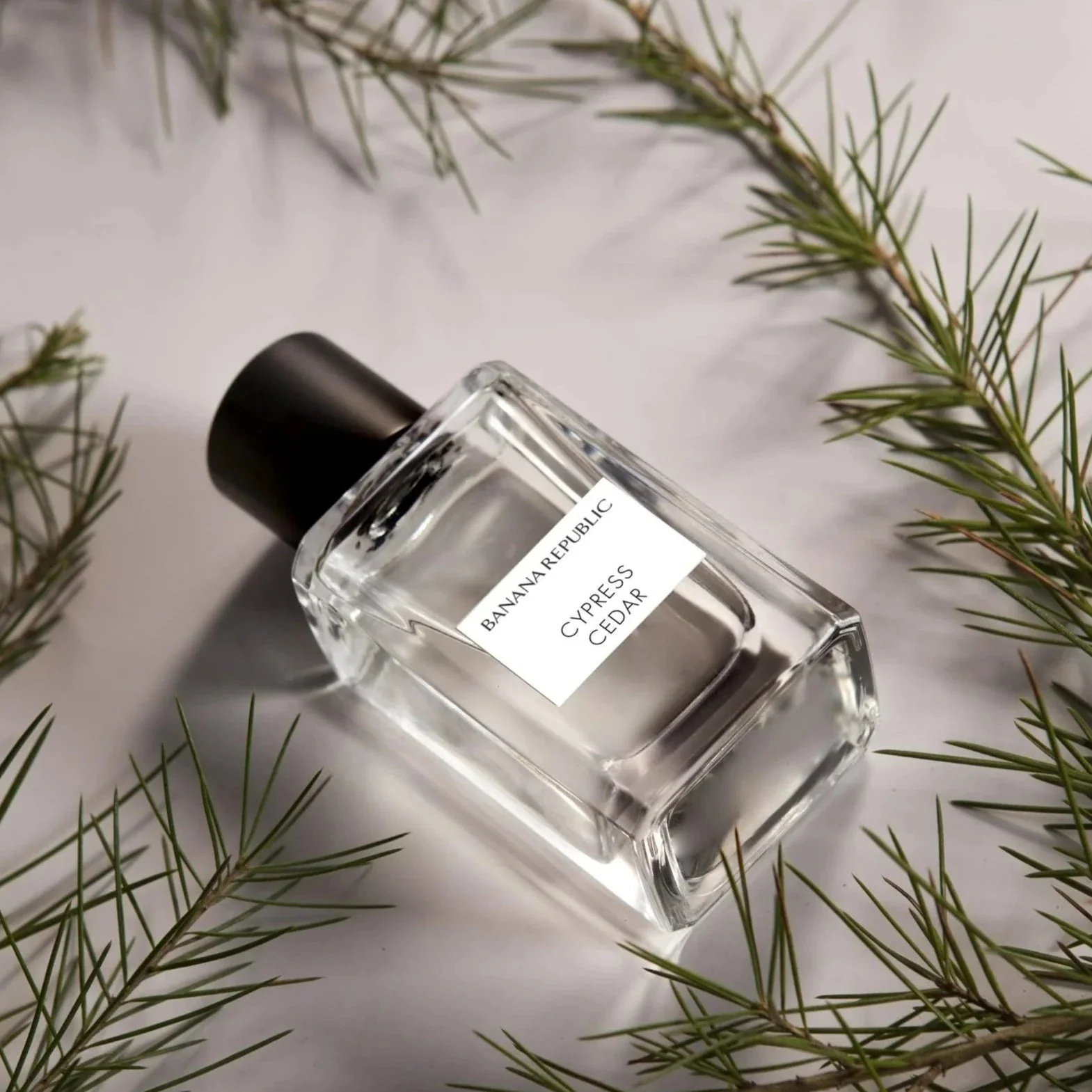 Banana Republic Cypress Cedar EDP - Image 2