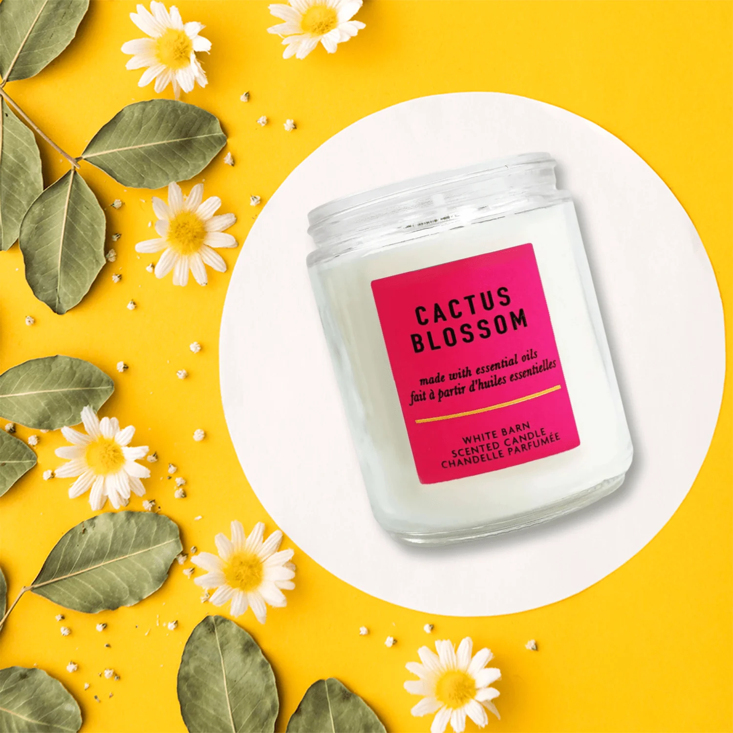 Bath & Body Works White Barn Cactus Blossom Scented Candle - Image 4