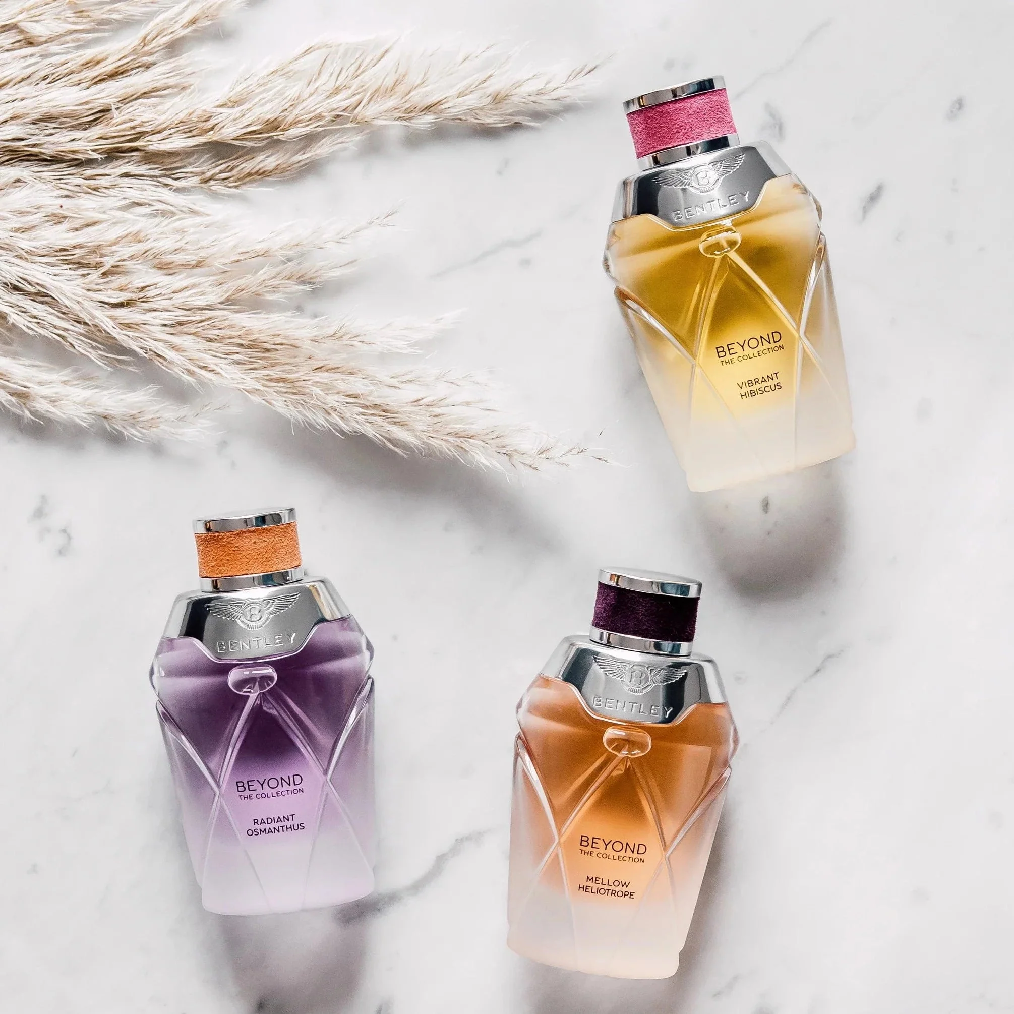 Bentley Beyond The Collection Mellow Heliotrope EDP - Image 3