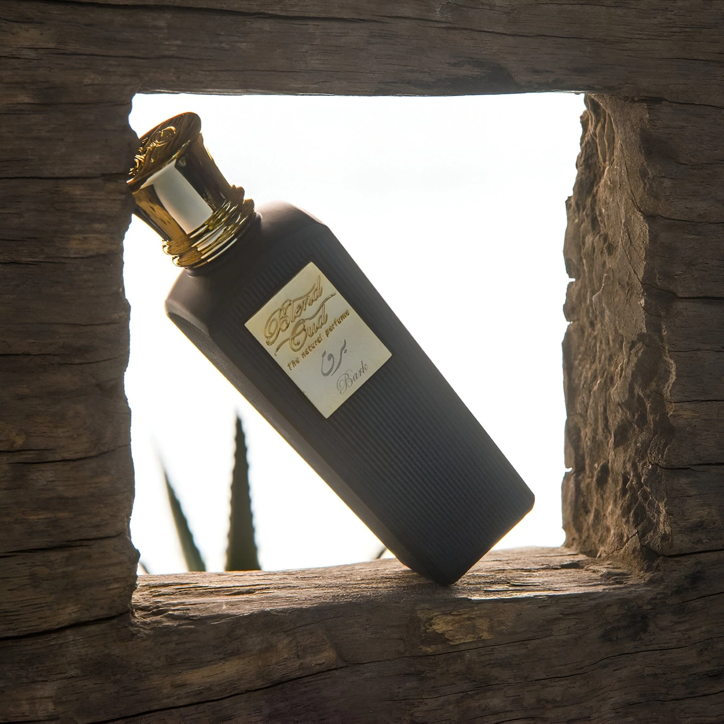 Blend Oud Original Collection Bark EDP - Image 3