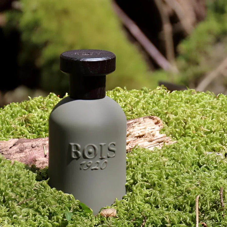 Bois 1920 Itruk EDP - Image 2