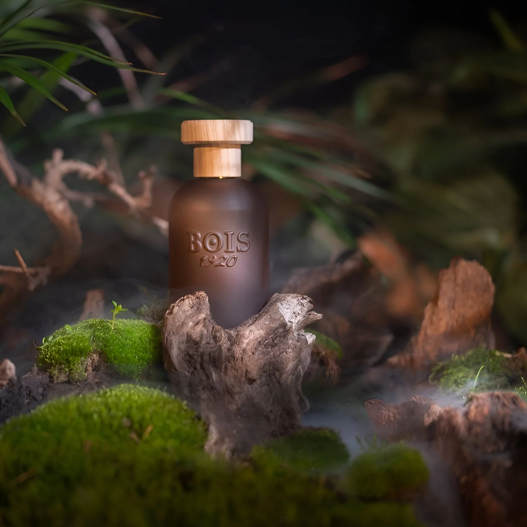 Bois 1920 Nagud EDP - Image 2