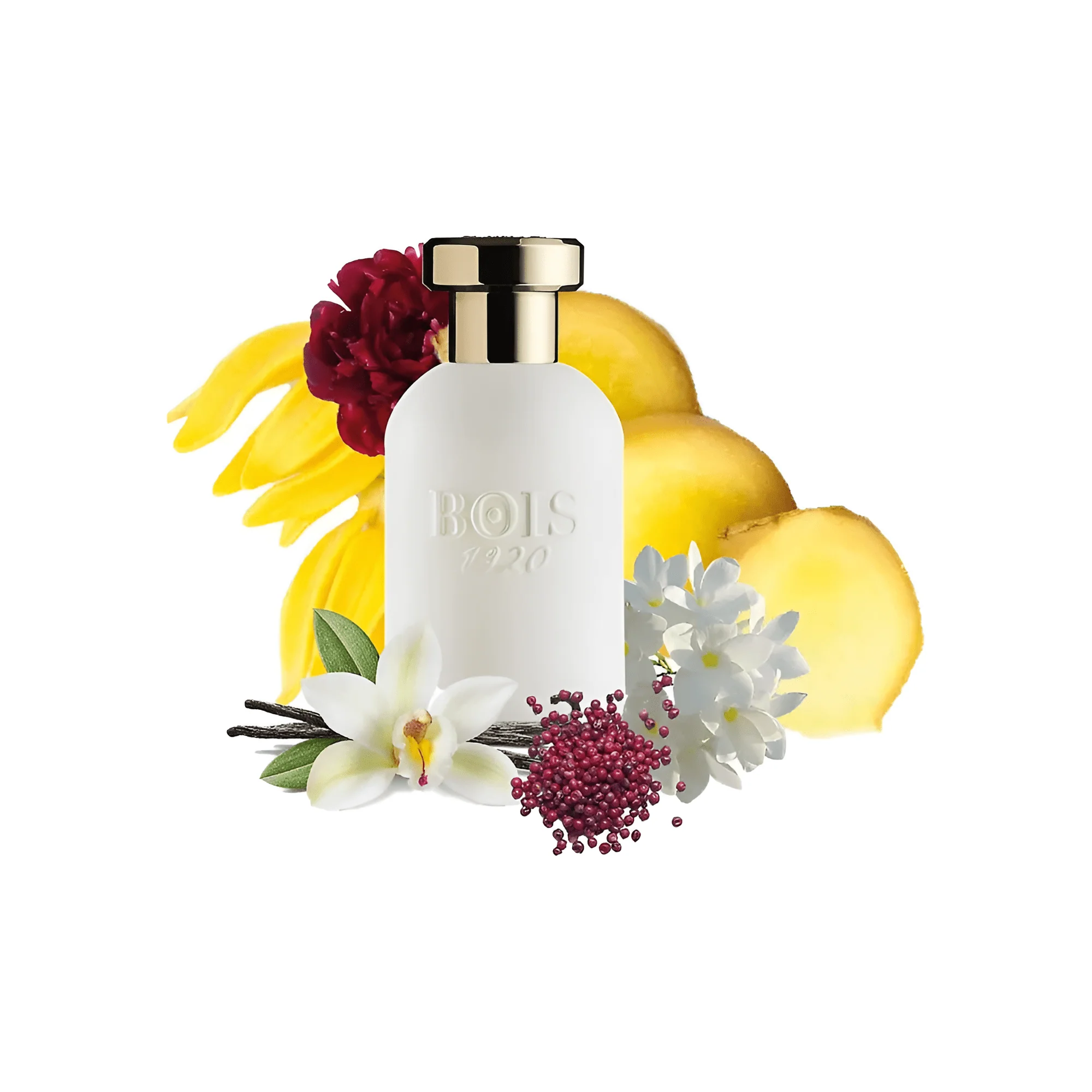 Bois 1920 Oro Bianco EDP - Image 3