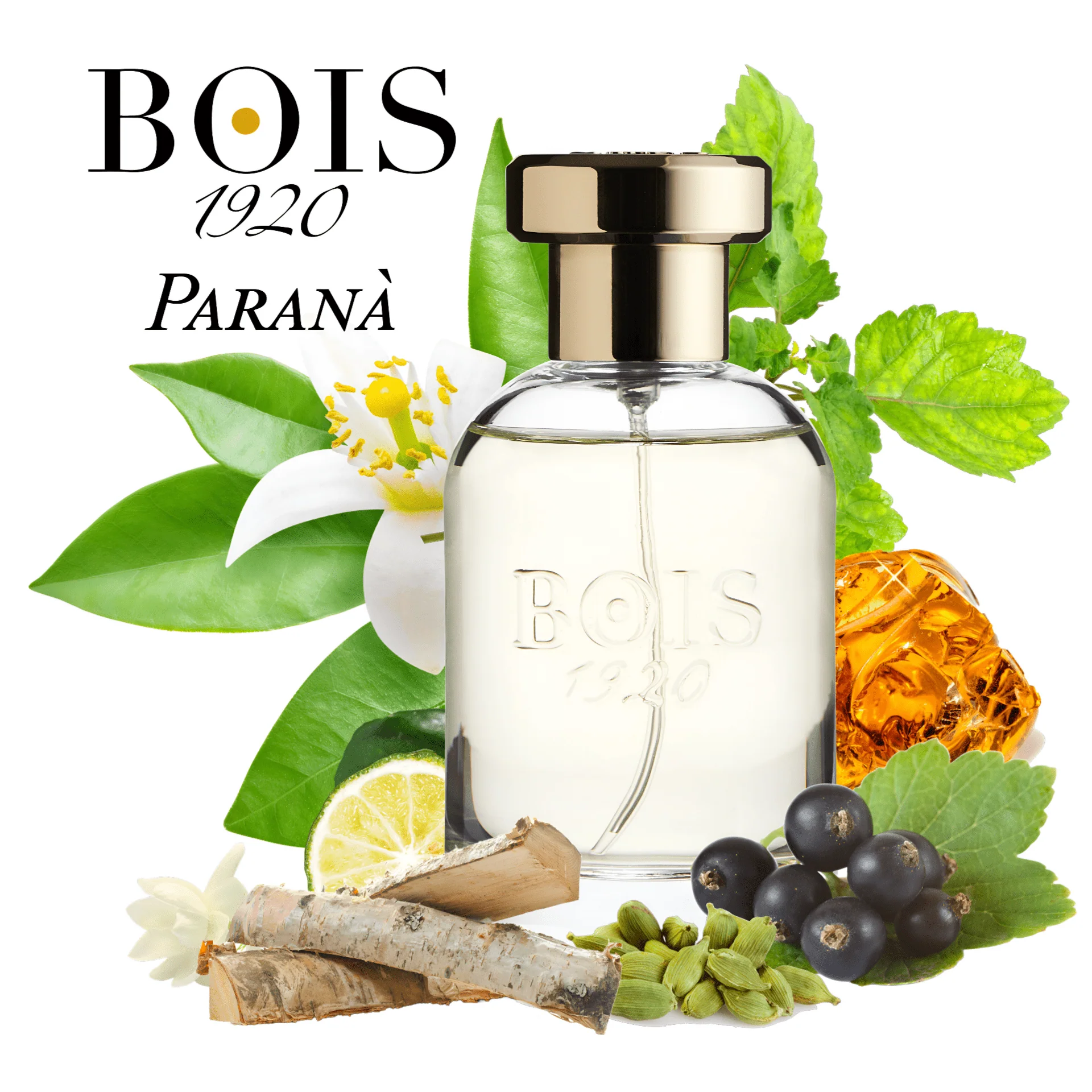 Bois 1920 Sopra Il Mare EDT - Image 2