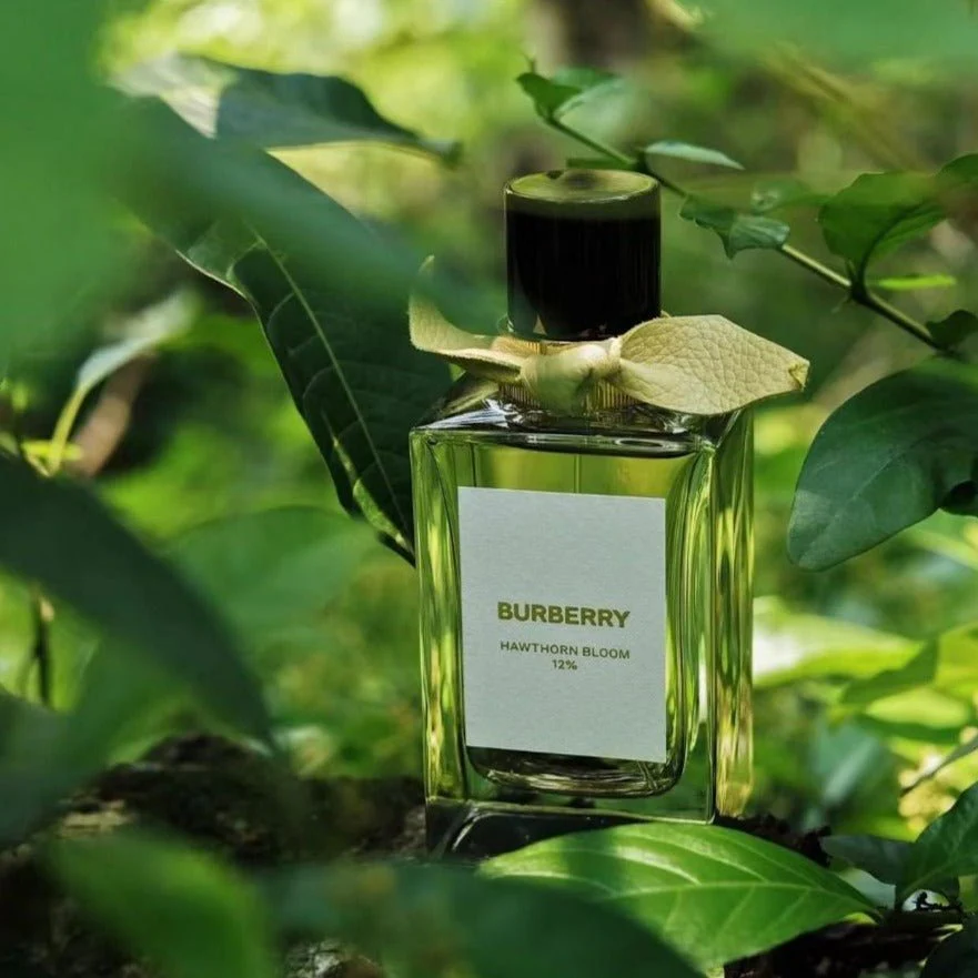 Burberry Bespoke Collection Hawthorn Bloom 12% EDP - Image 2