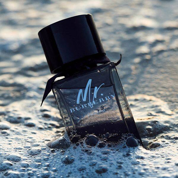 Burberry Mr. Burberry Indigo EDT - Image 3