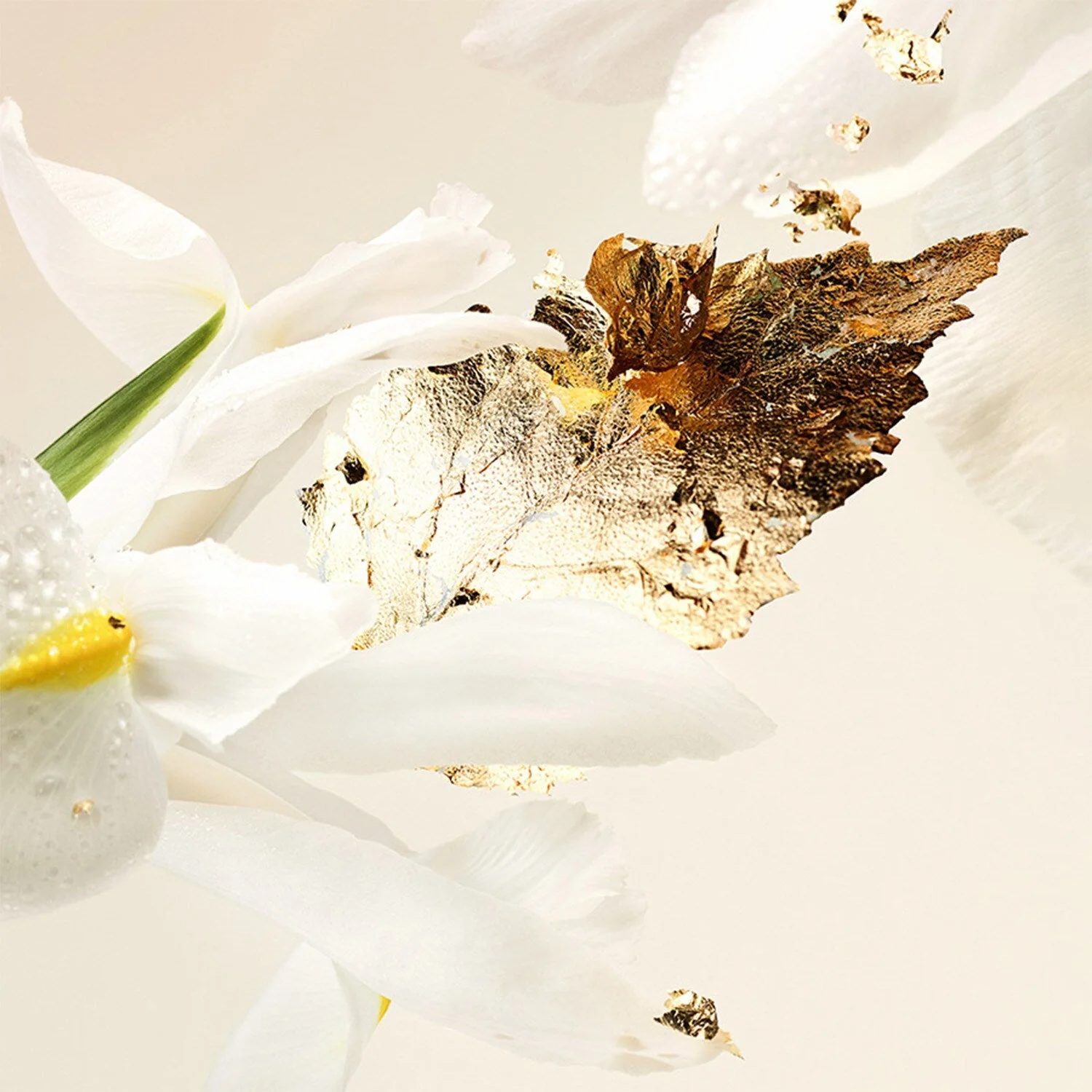 Bvlgari Splendida Patchouli Tentation EDP - Image 4
