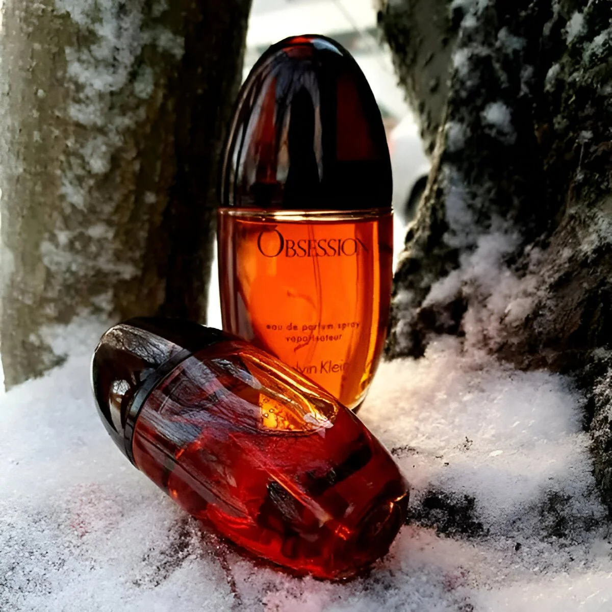 Calvin Klein Obsession EDP For Women - Image 3