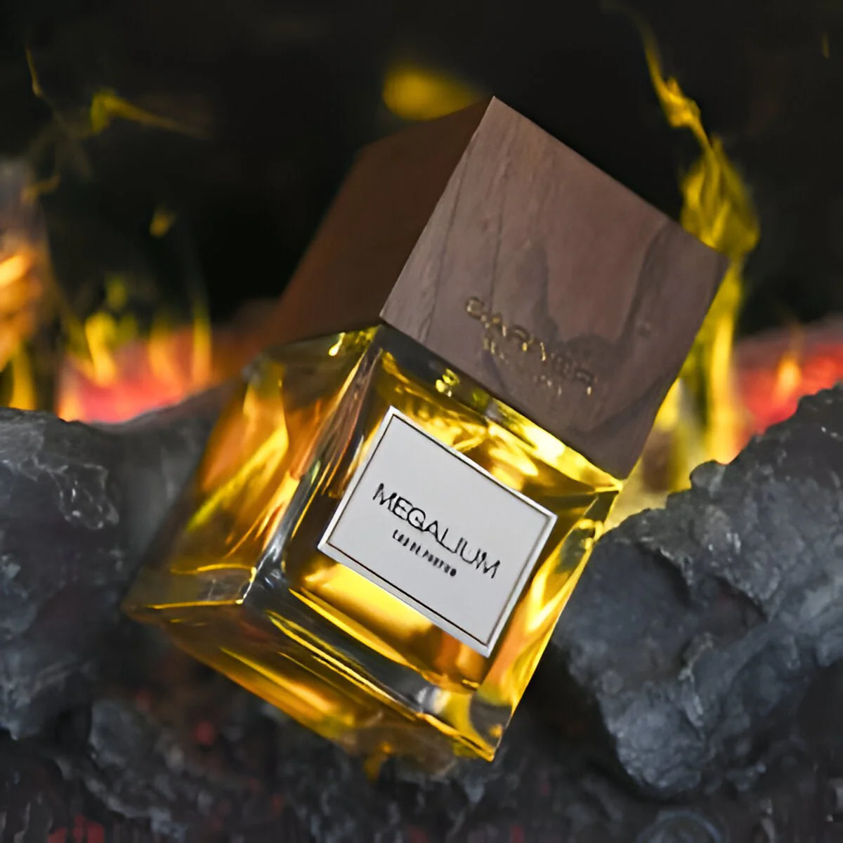 Carner Barcelona Megalium EDP - Image 3