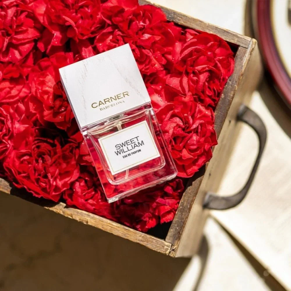 Carner Barcelona Sweet William EDP - Image 3