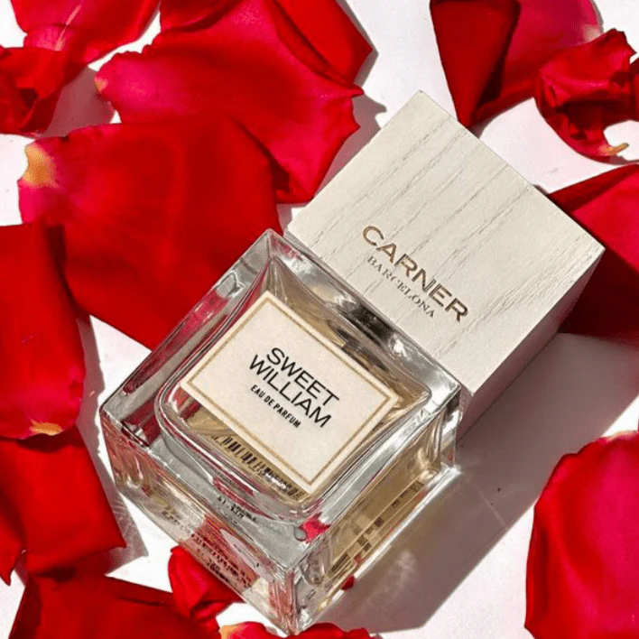 Carner Barcelona Sweet William EDP - Image 4