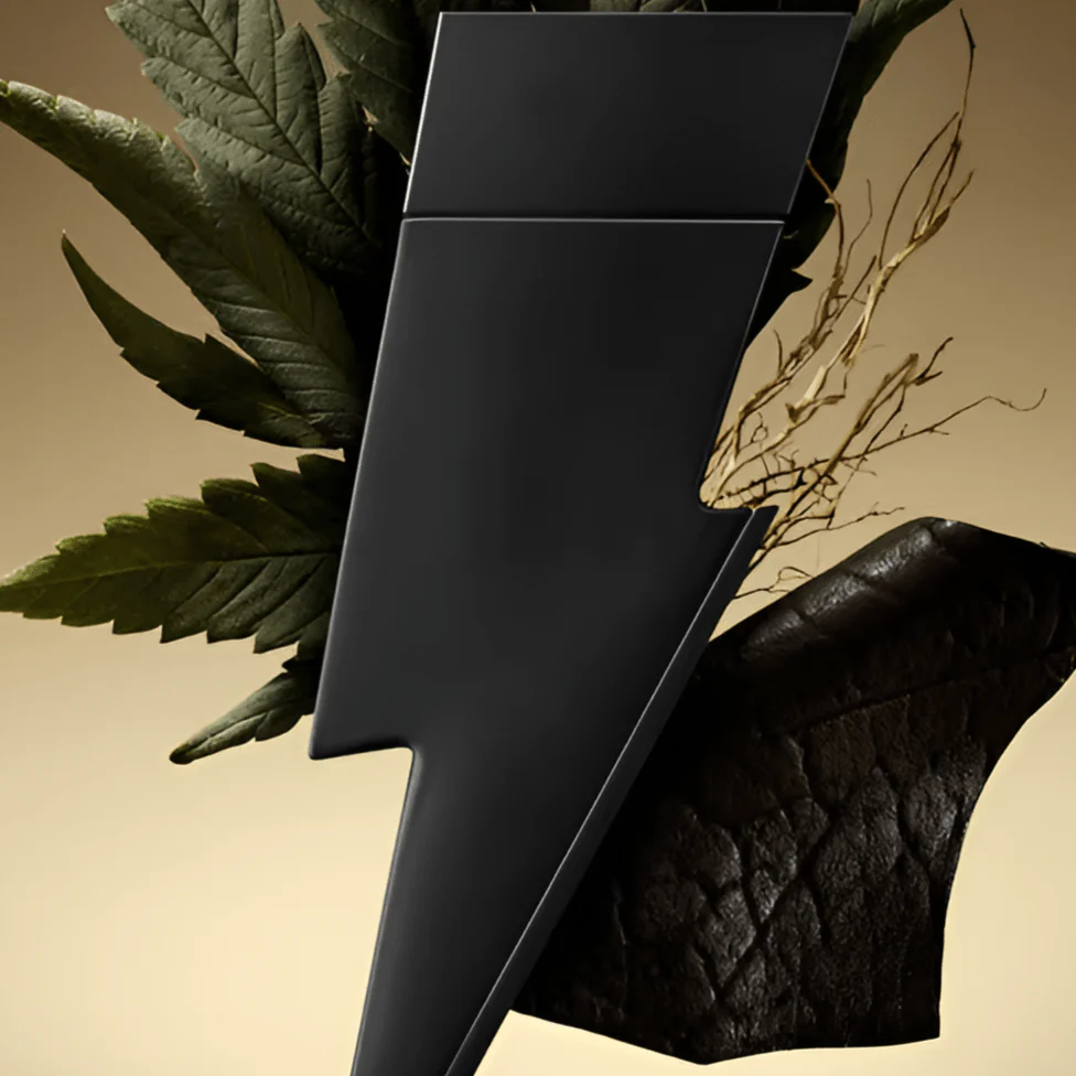 Carolina Herrera Bad Boy Cologne & Shower Gel Duo Gift Set - Image 2