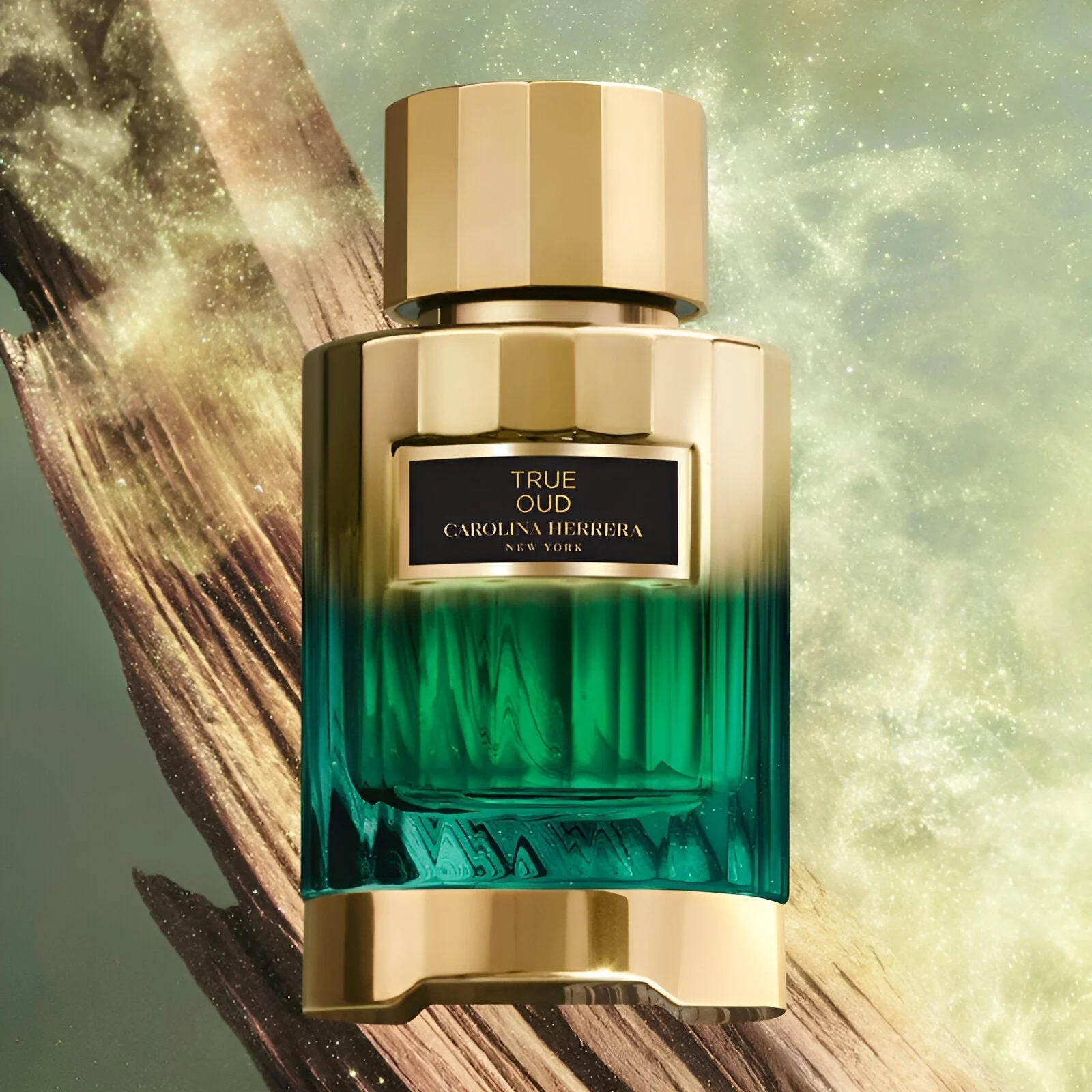 Carolina Herrera Men's Discovery Gift Set EDP - Image 4