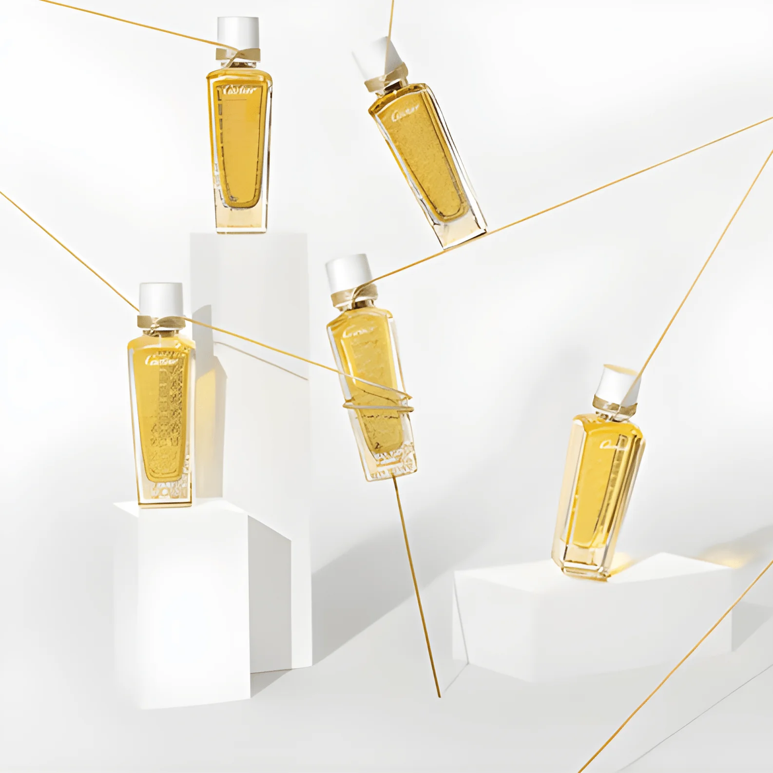 Cartier Parfum D'Interieur Boutique Parfum - Image 4
