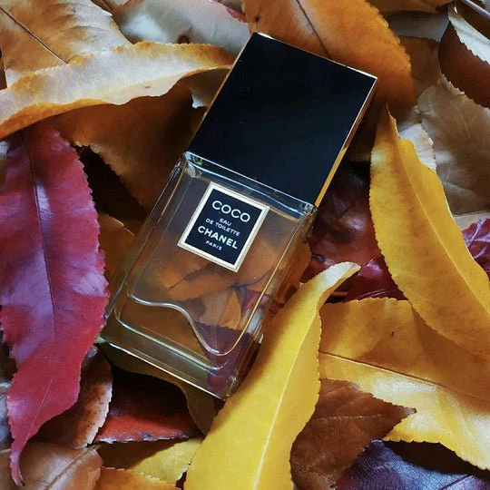 Chanel Coco EDT - Image 4