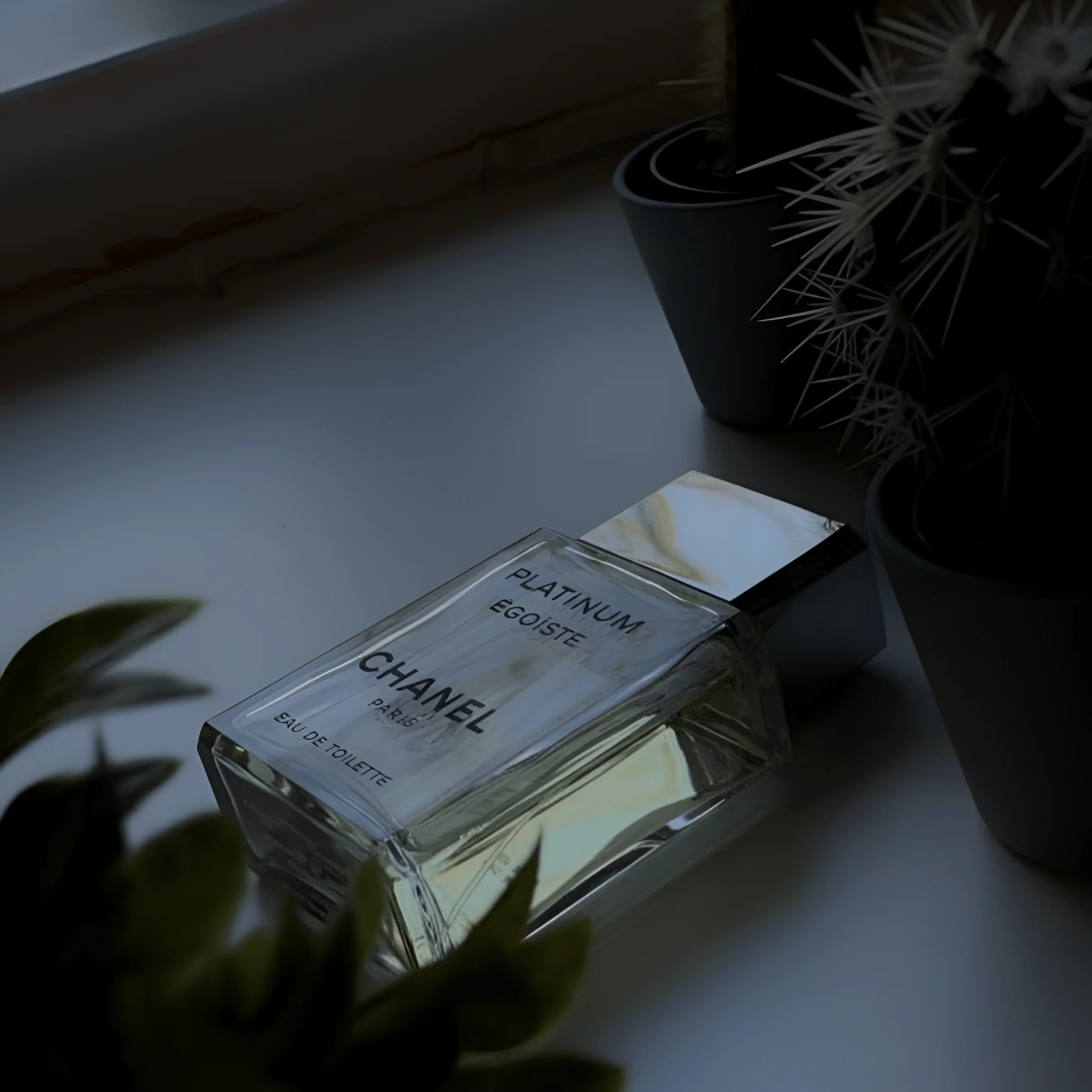 Chanel Platinum Egoiste EDT - Image 2