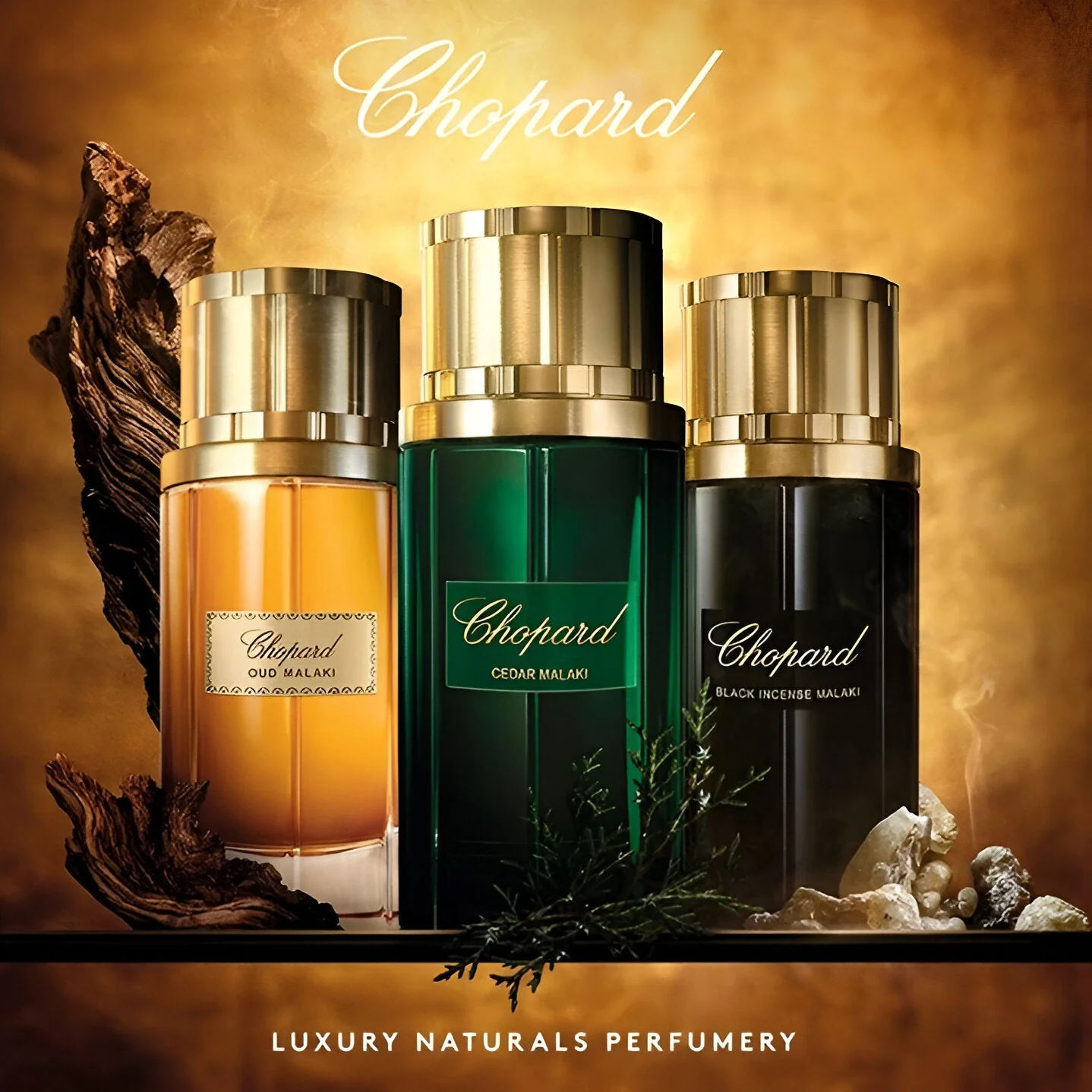 Chopard Black Incense Malaki EDP - Image 4
