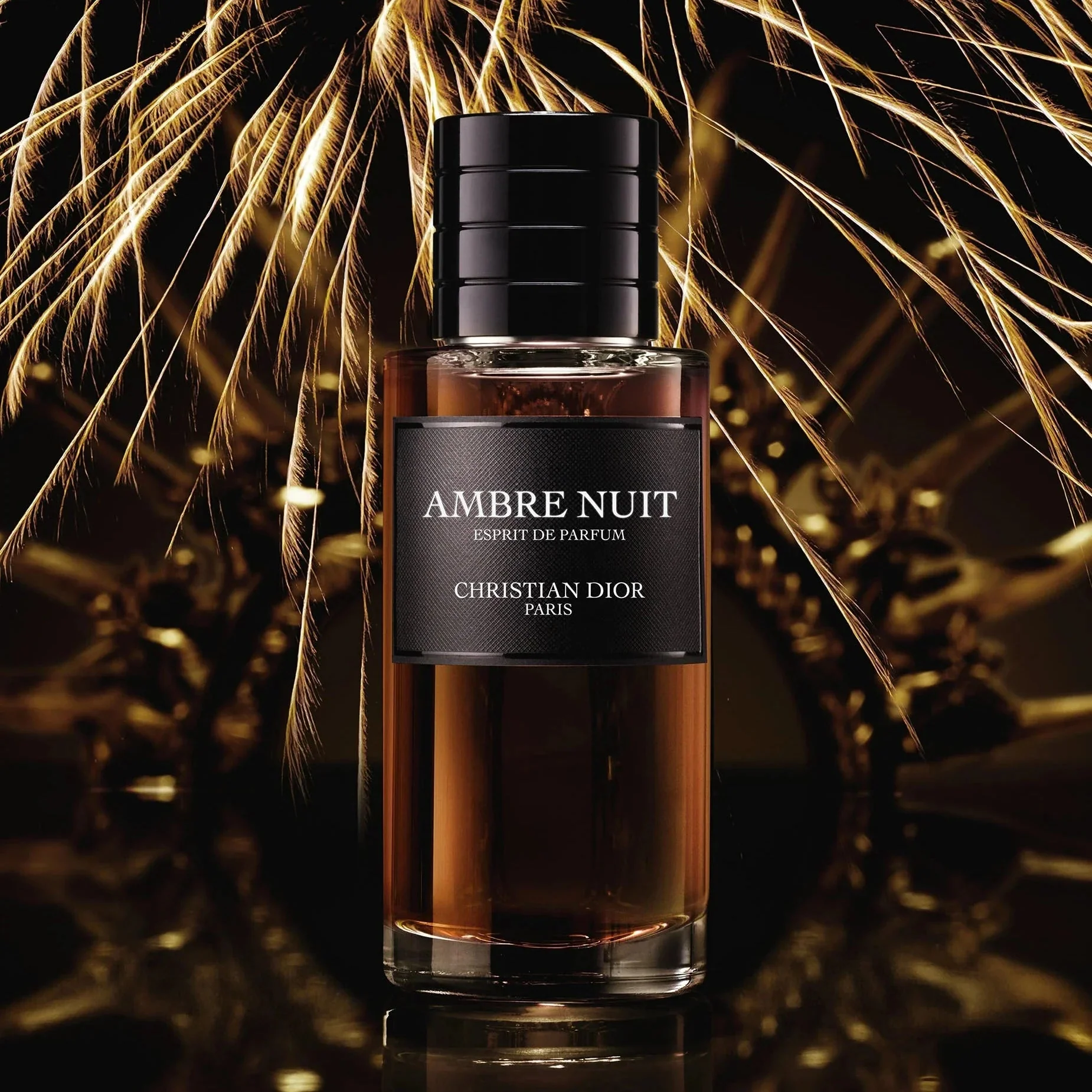 Christian Dior Ambre Nuit Extrait De Parfum - Image 4