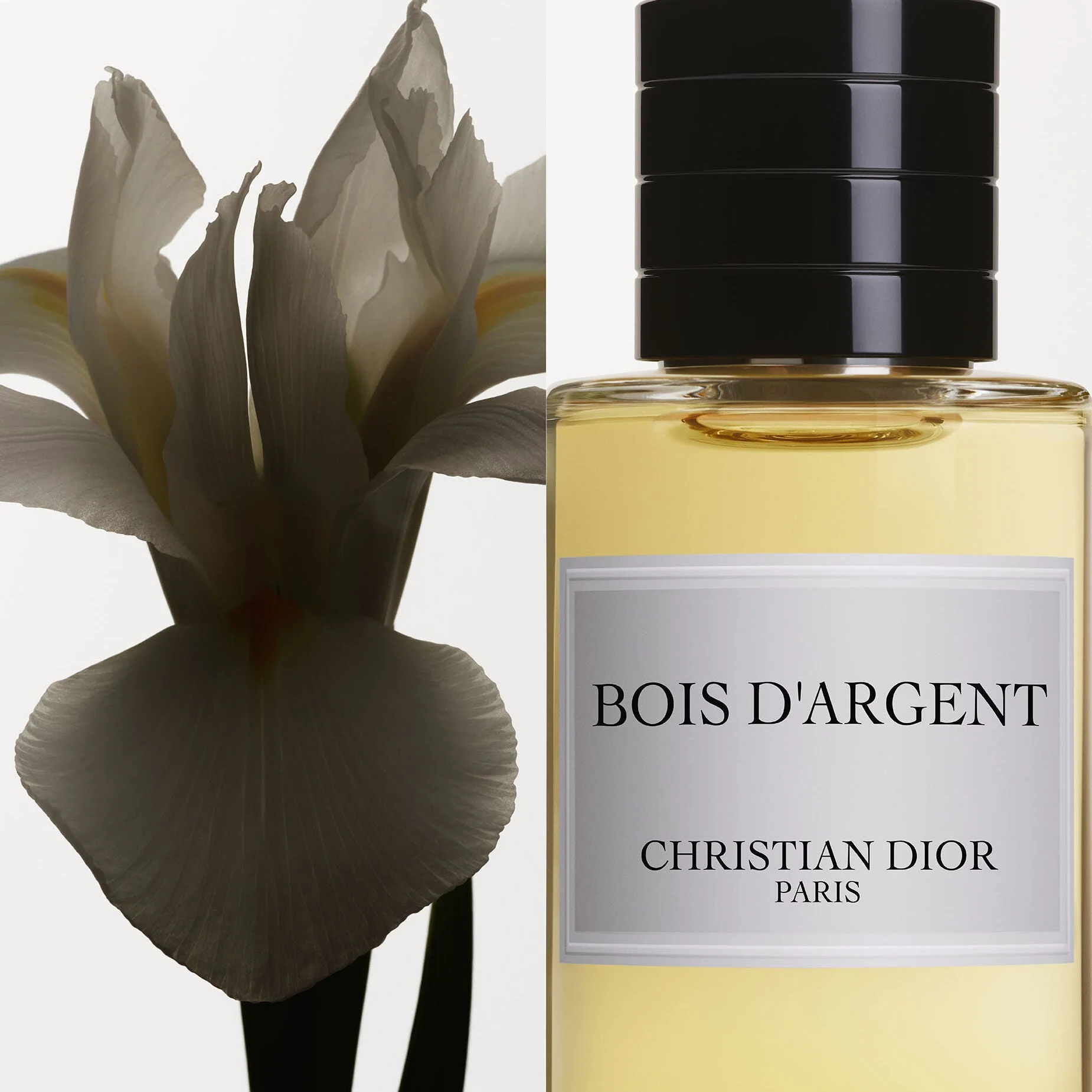 Christian Dior Bois D'Argent EDP - Image 3