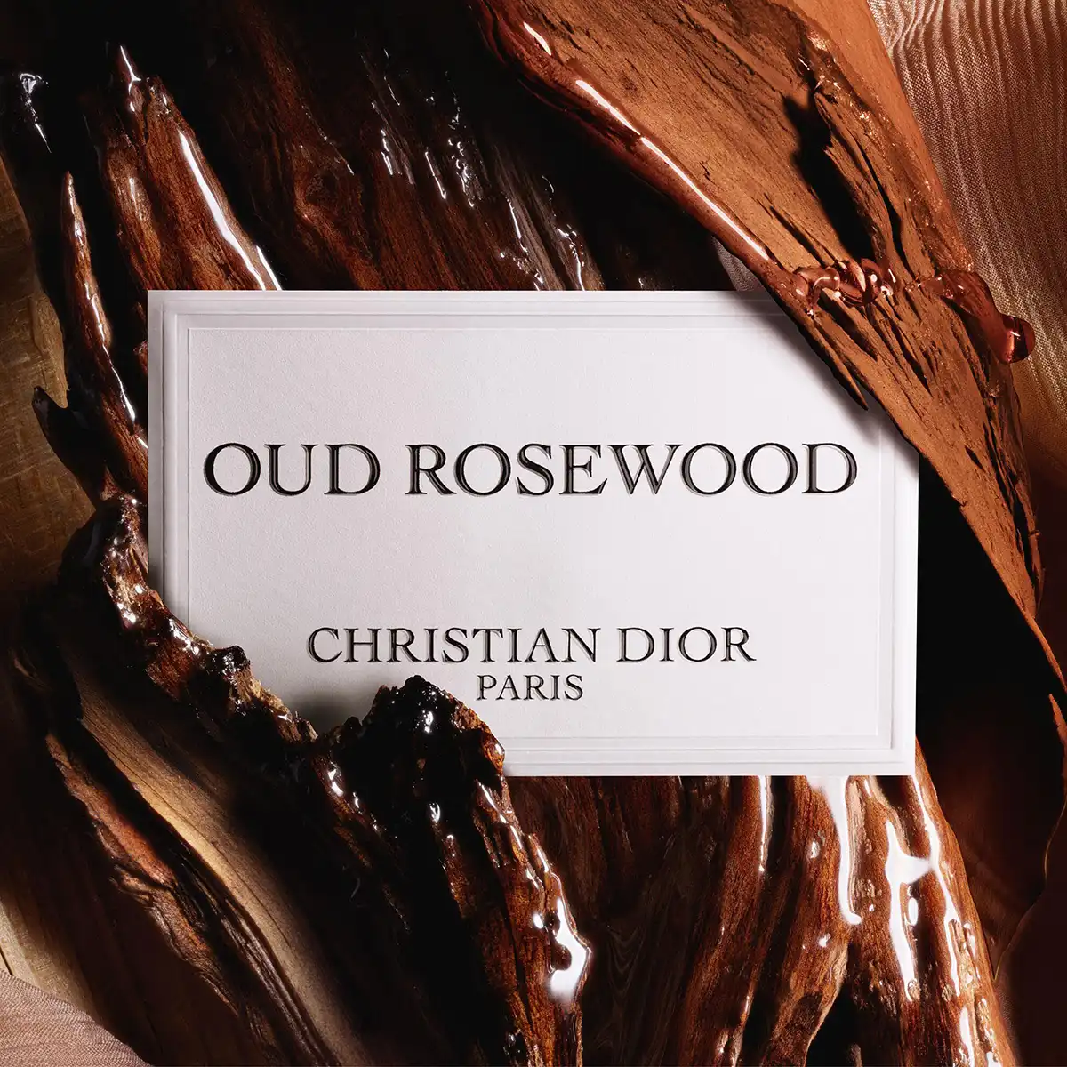 Christian Dior Oud Rosewood EDP - Image 5