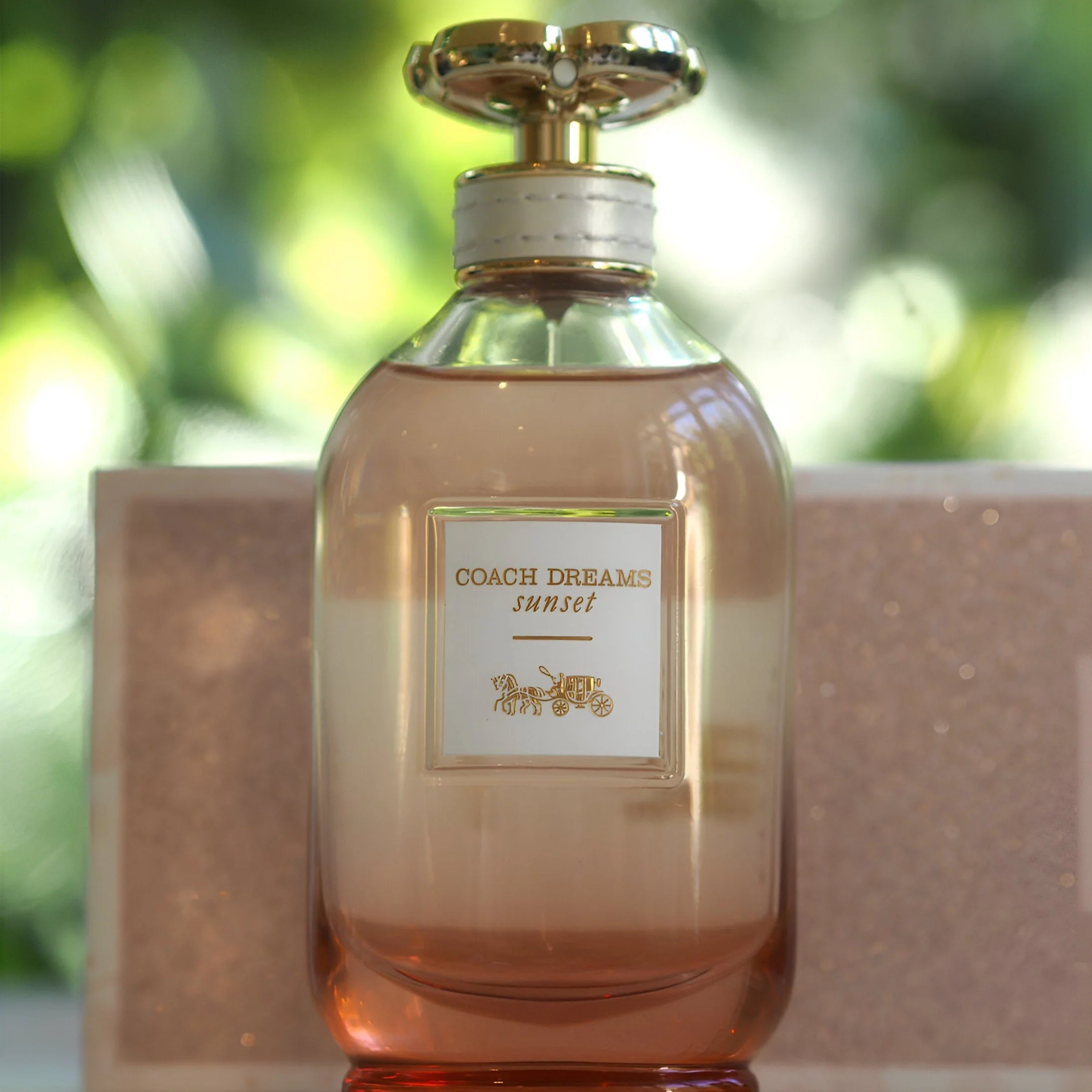 Coach Dreams Sunset Body Lotion - Image 2