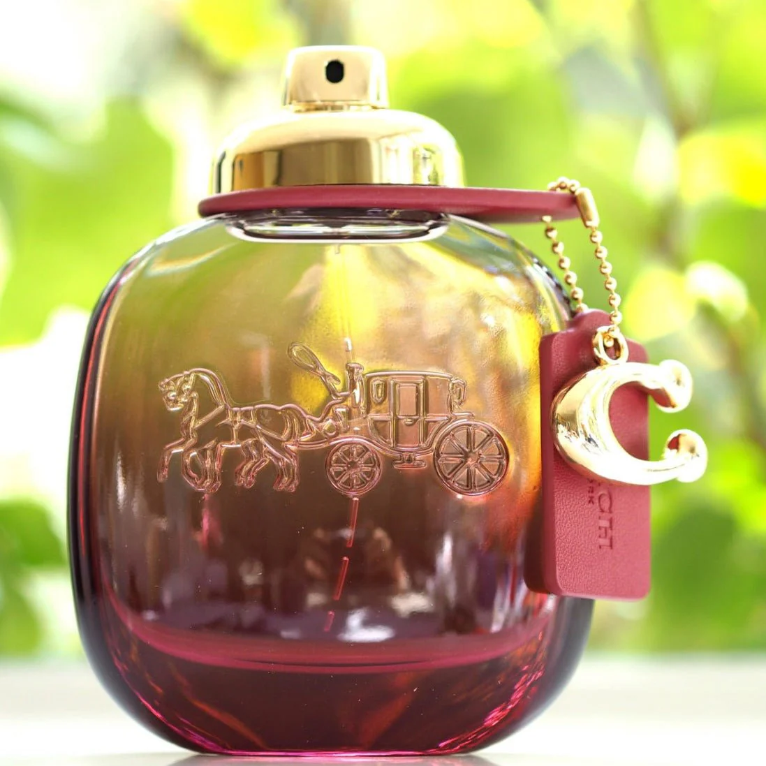 Coach Wild Rose Body Lotion - Image 2