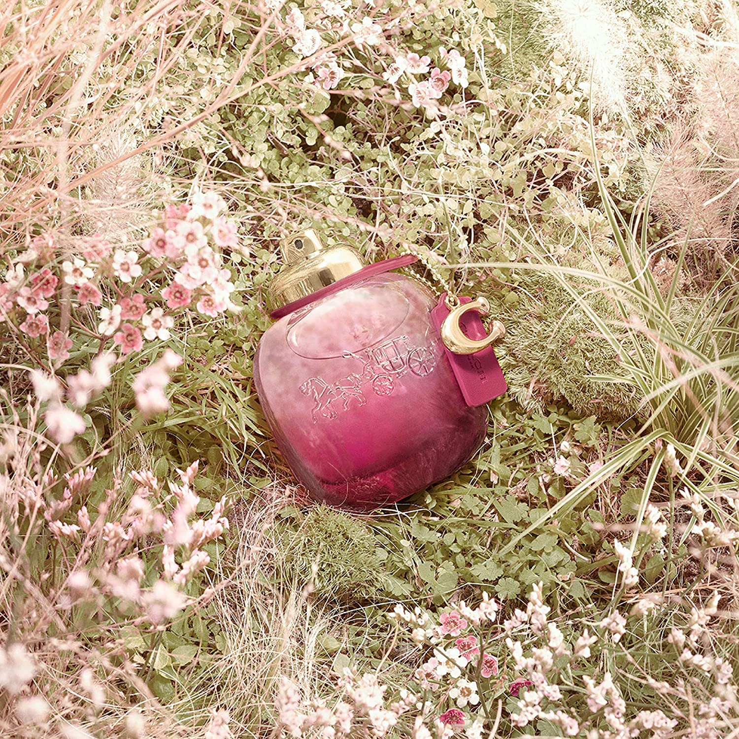 Coach Wild Rose EDP - Image 3