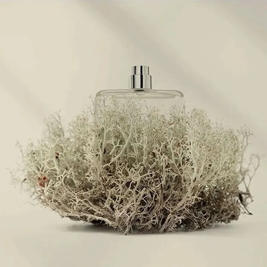 Costume National Scent Intense EDP Gift Set - Image 4