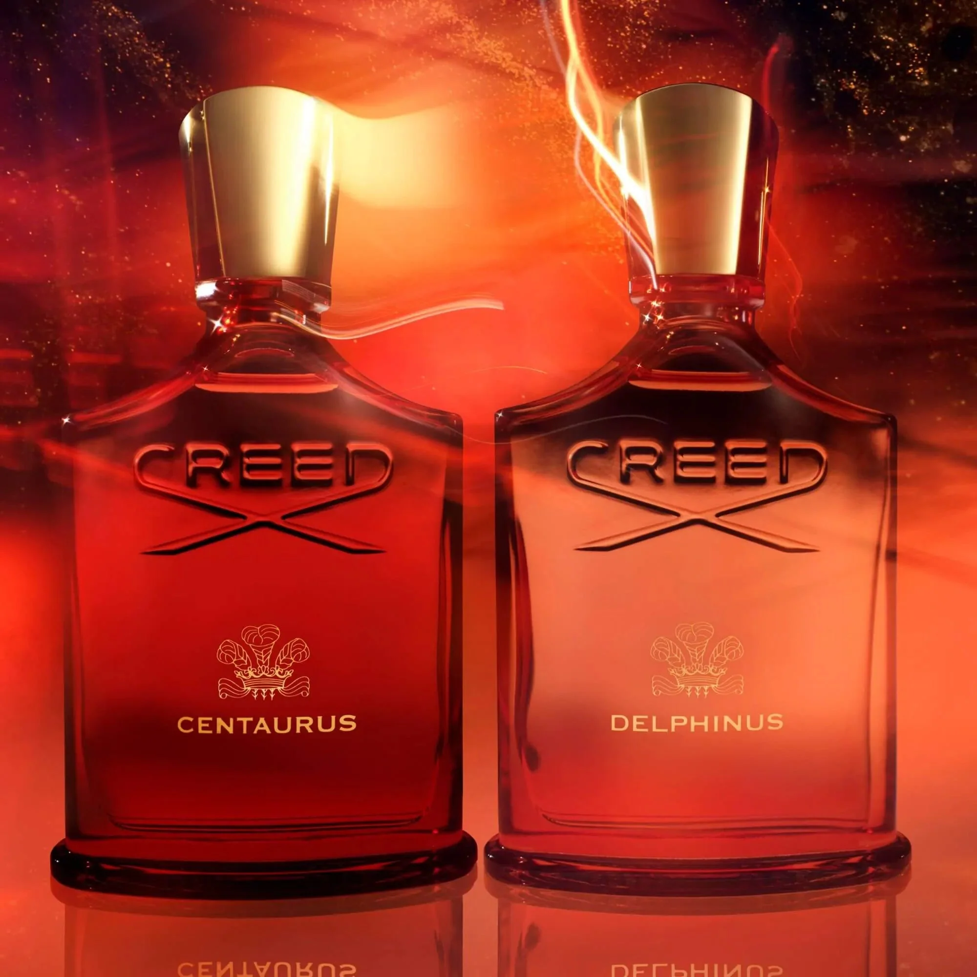 Creed Delphinus EDP - Image 2