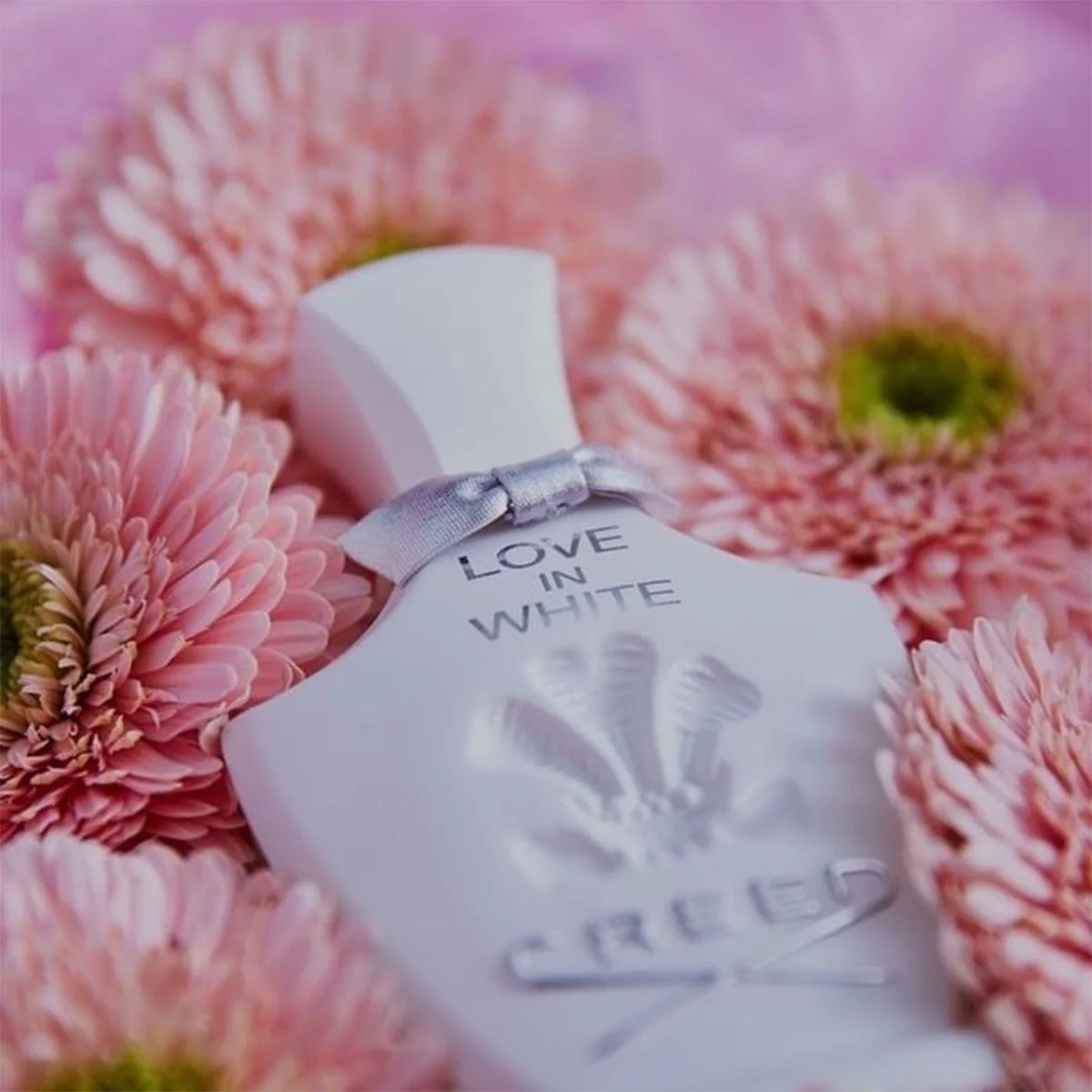 Creed Love In White EDP - Image 3