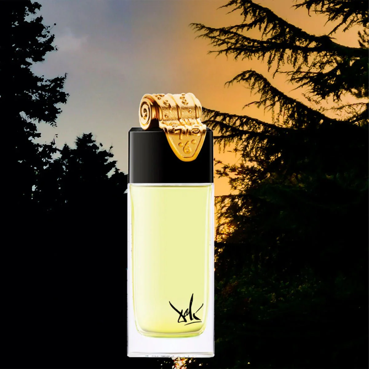 Dali Haute Parfumerie Paris Fluidite Du Temps Imaginaire EDP - Image 3