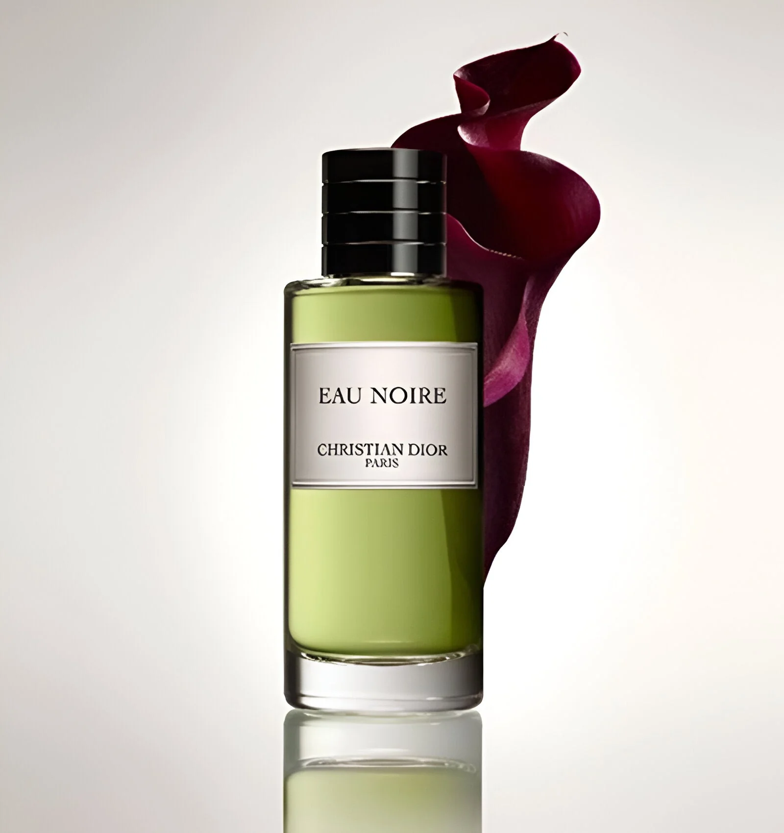 Dior Eau Noire EDP - Image 3