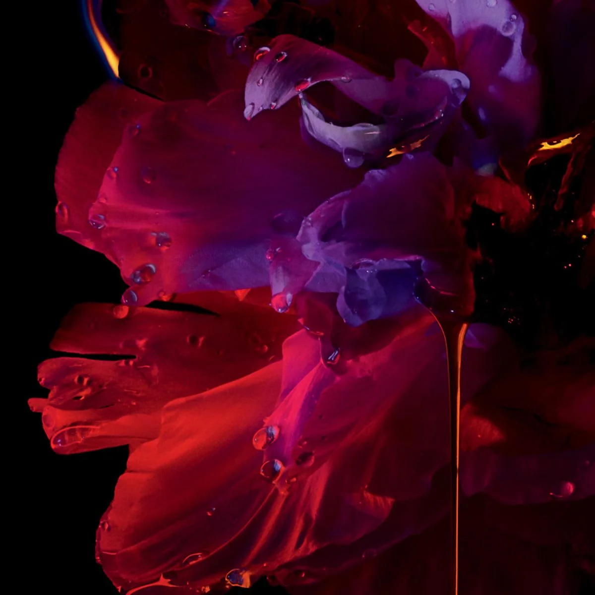 Dior Hypnotic Poison EDP - Image 8