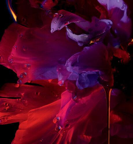 Dior Hypnotic Poison Hair Mist - Image 4