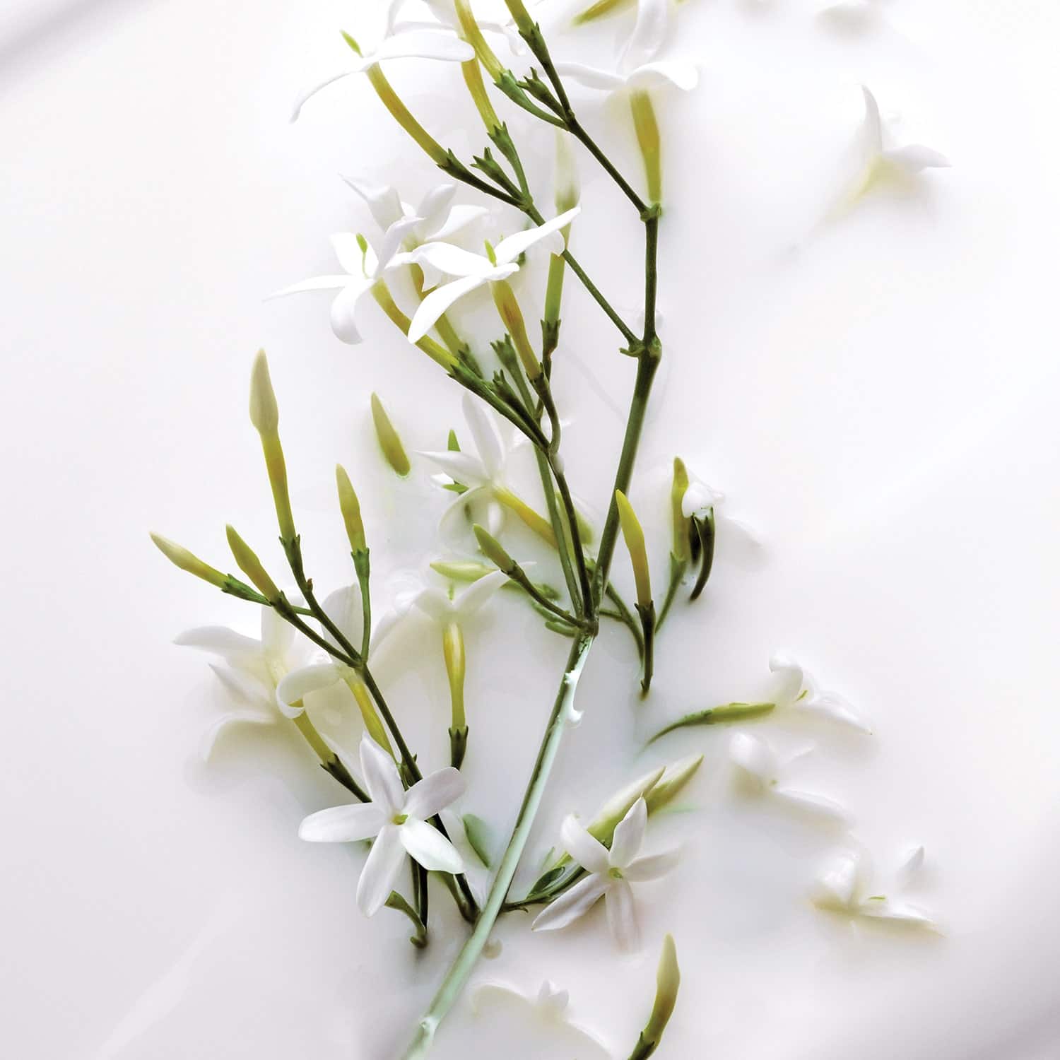 Dior J'Adore EDT - Image 3