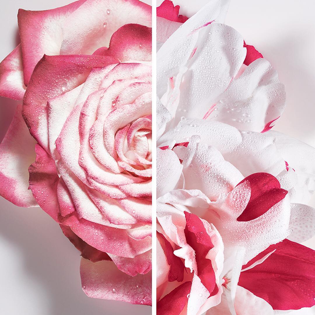 Dior Miss Dior Absolutely Blooming EDP - Image 5