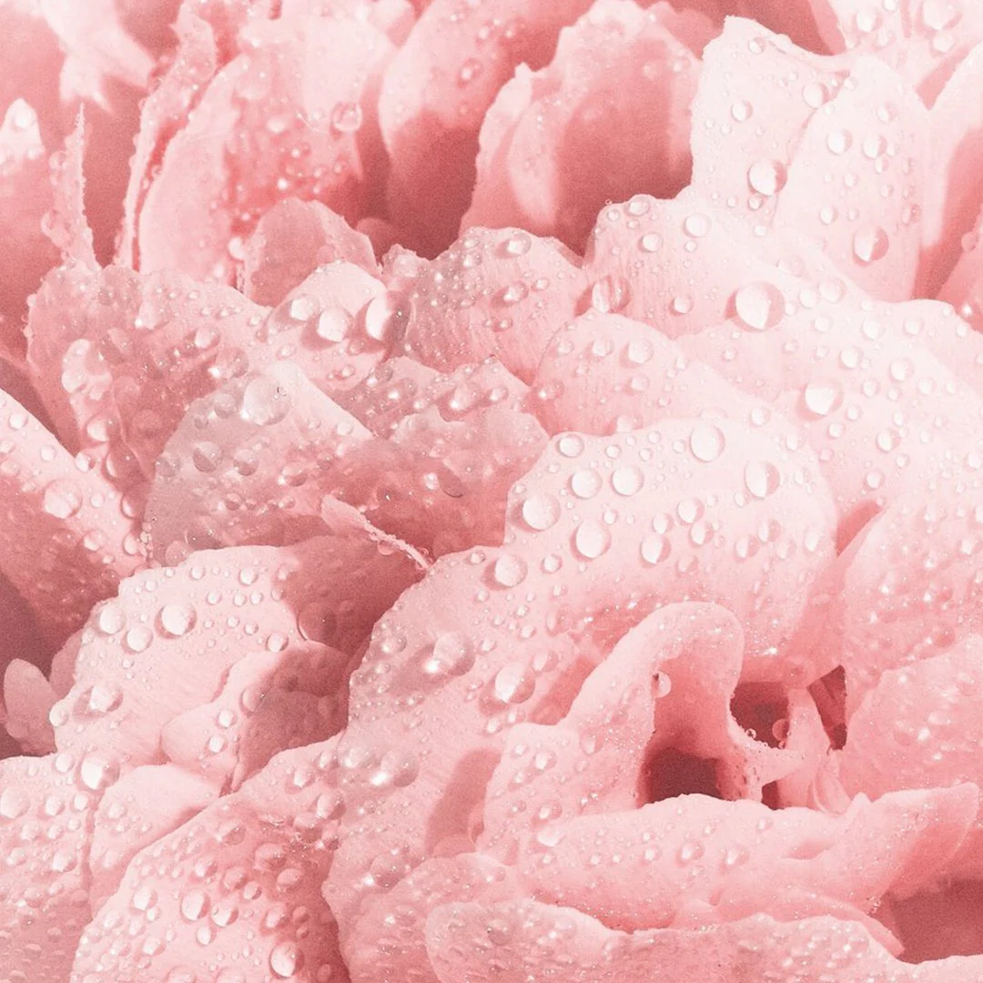 Dior Miss Dior Fresh Rose Body Oil - Image 4